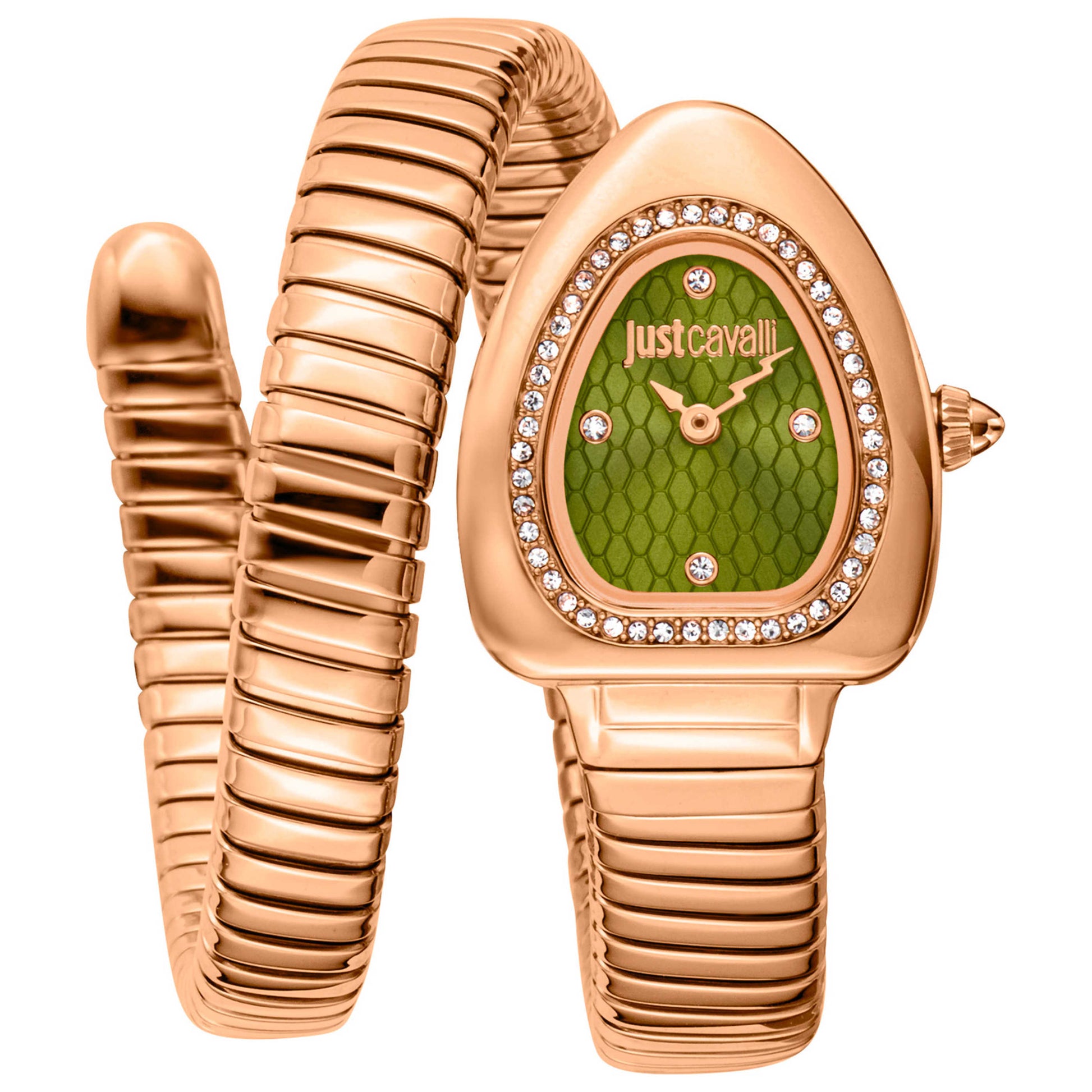 Front view of Just Cavalli Signature Snake Women's Quartz Watch JC1L249M0045