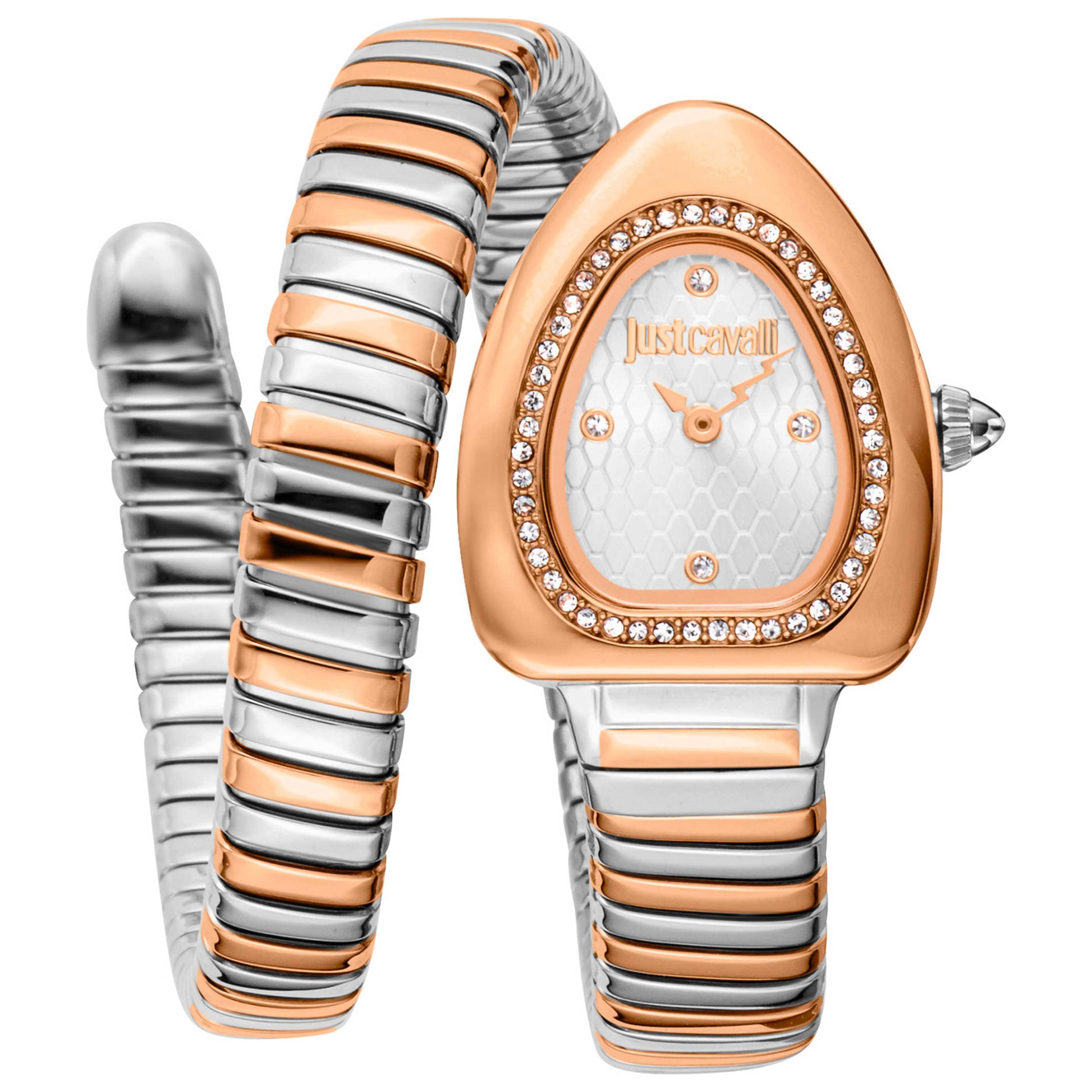 Front view of Just Cavalli Signature Snake Women's Quartz Watch JC1L249M0065