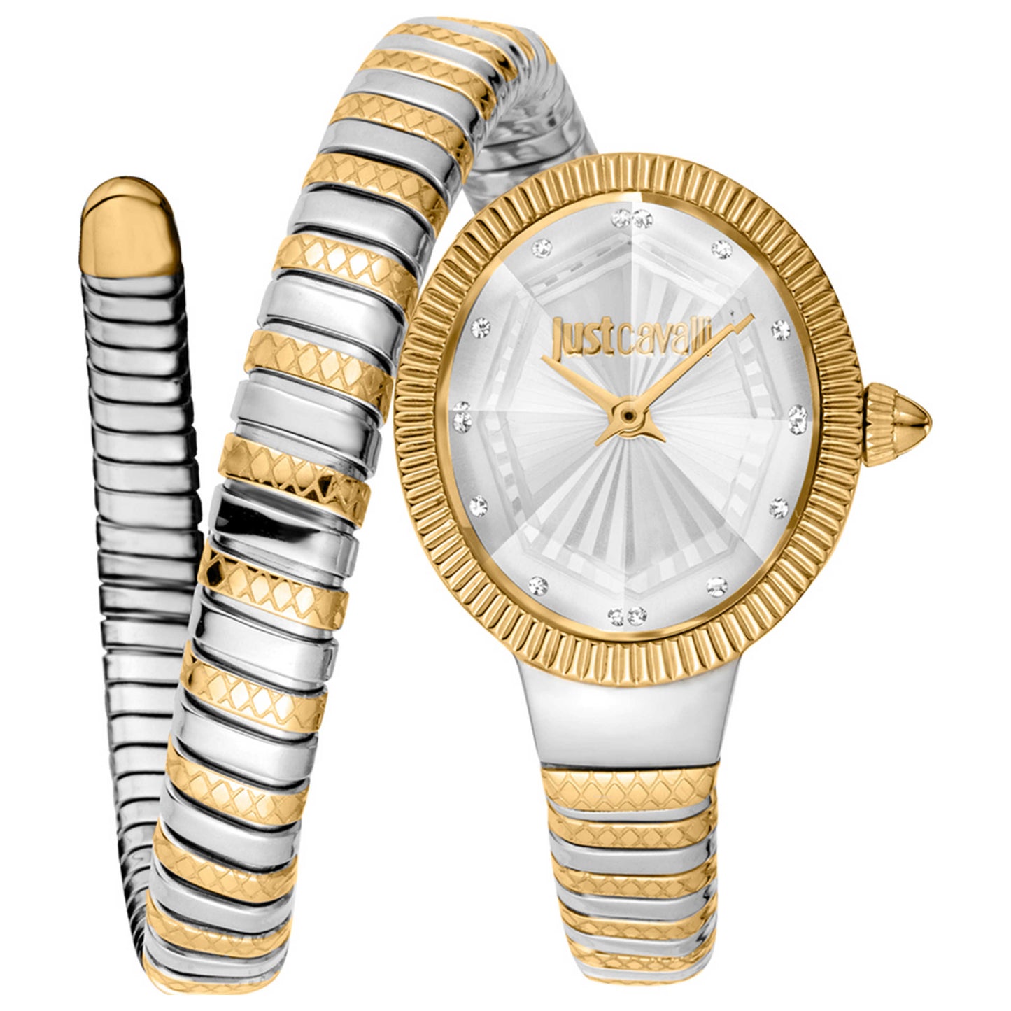 Front view of Just Cavalli Signature Snake Women's Quartz Watch JC1L268M0055