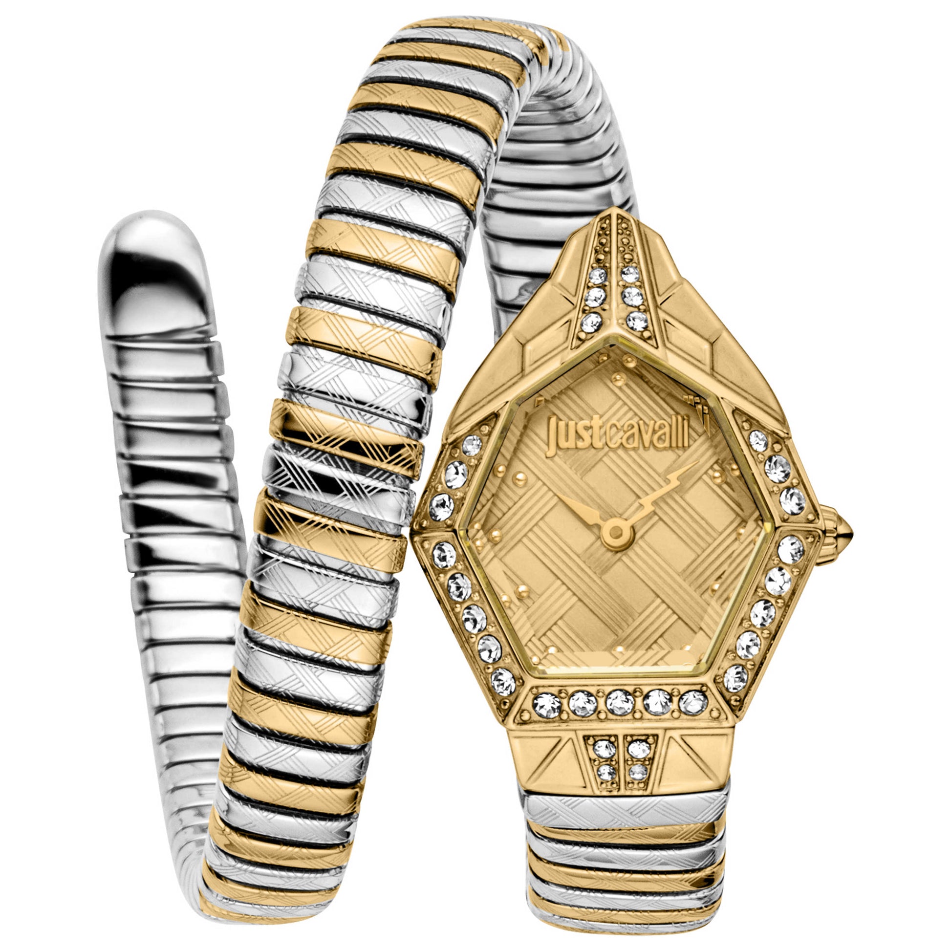 Front view of Just Cavalli Snake Women's Quartz Watch JC1L303M0055