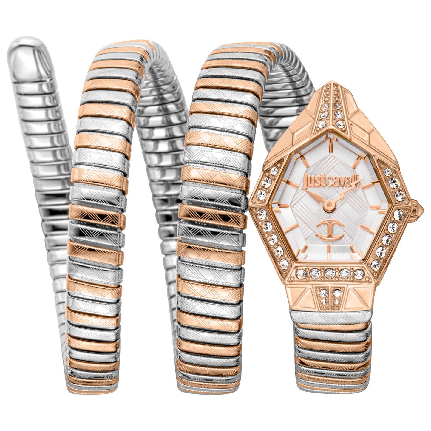 Front view of Just Cavalli Mesmerizing Women's Quartz Watch JC1L304M0075