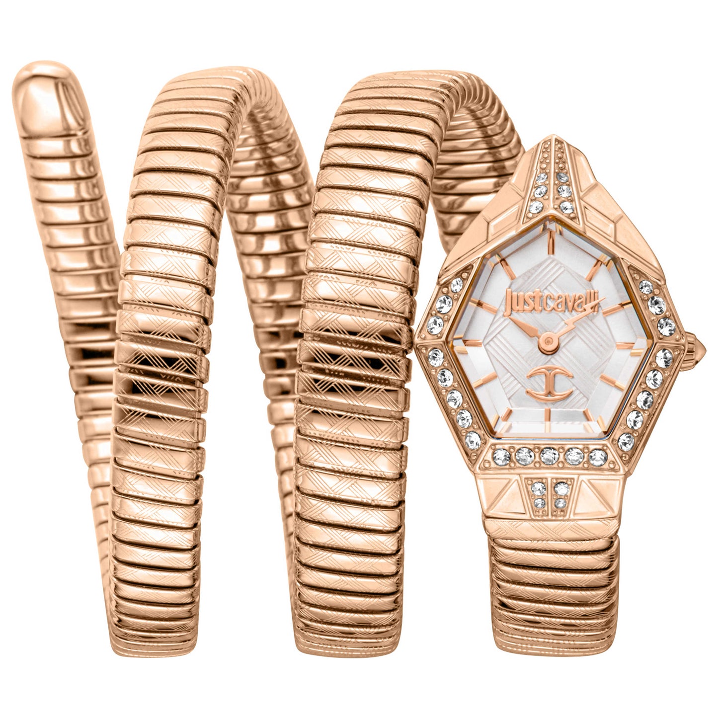 Front view of Just Cavalli Mesmerizing Women's Quartz Watch JC1L304M0085