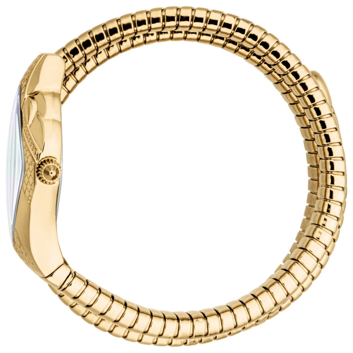 Just Cavalli Snake Women's Quartz Watch JC1L307M0025 - Image #4