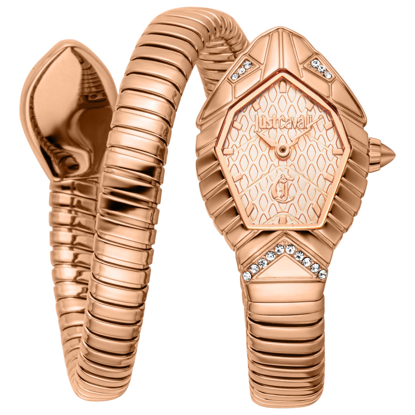 Front view of Just Cavalli Speranza Women's Quartz Watch JC1L356M0045