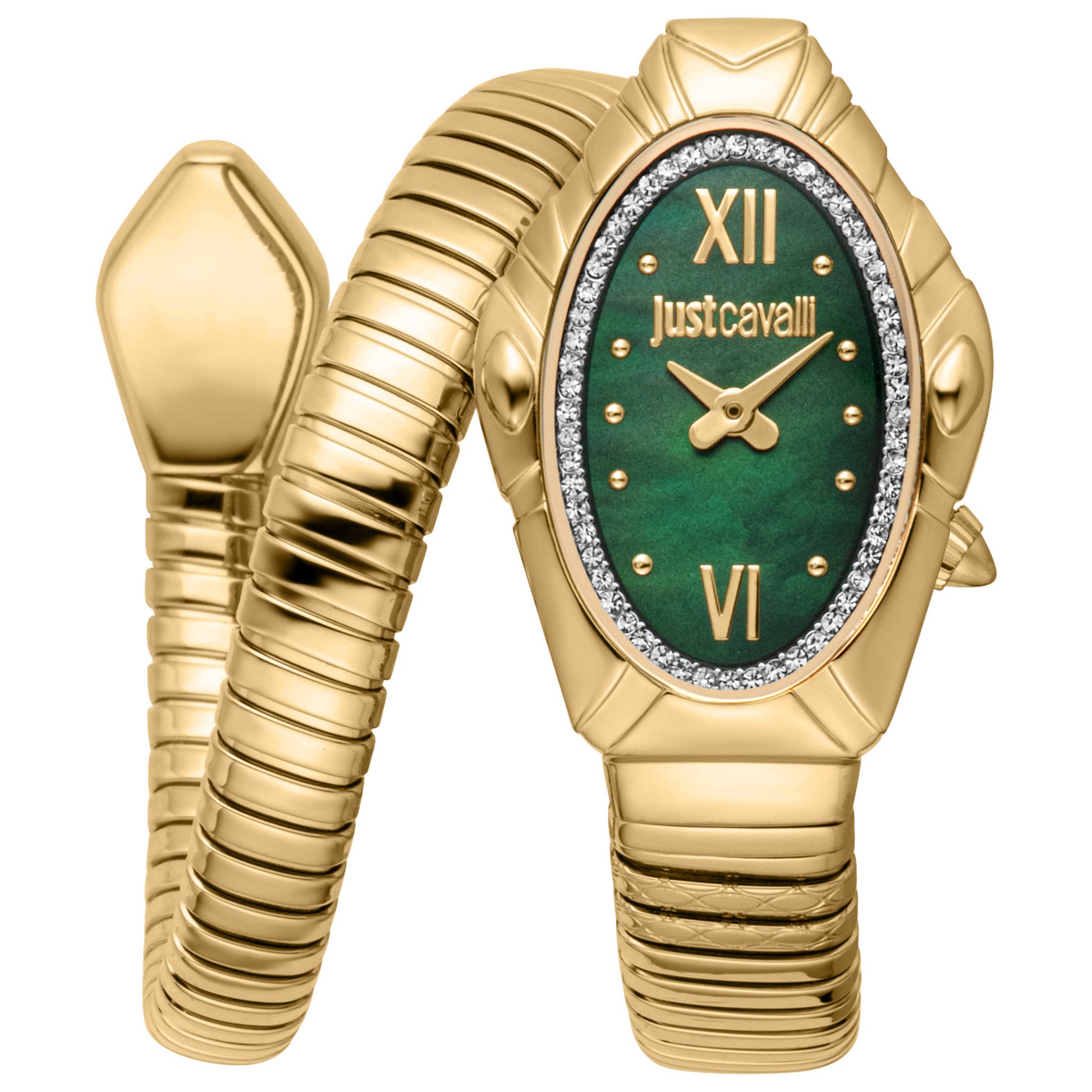 Front view of Just Cavalli Lirica Women's Quartz JC1L357M0035