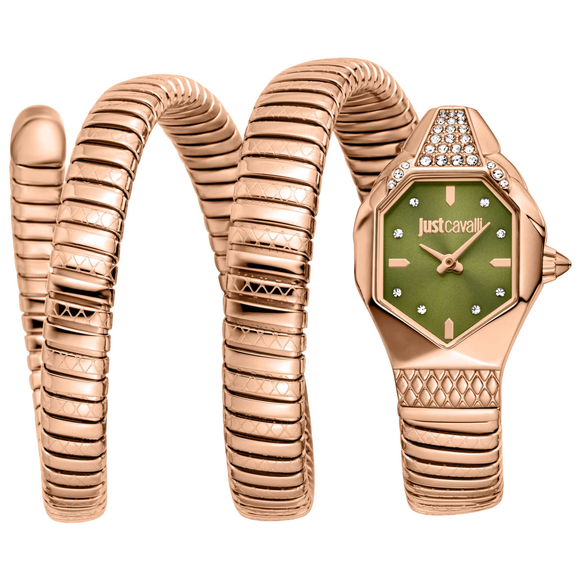 Front view of Just Cavalli Snake Women's Quartz Watch JC1L370M0045