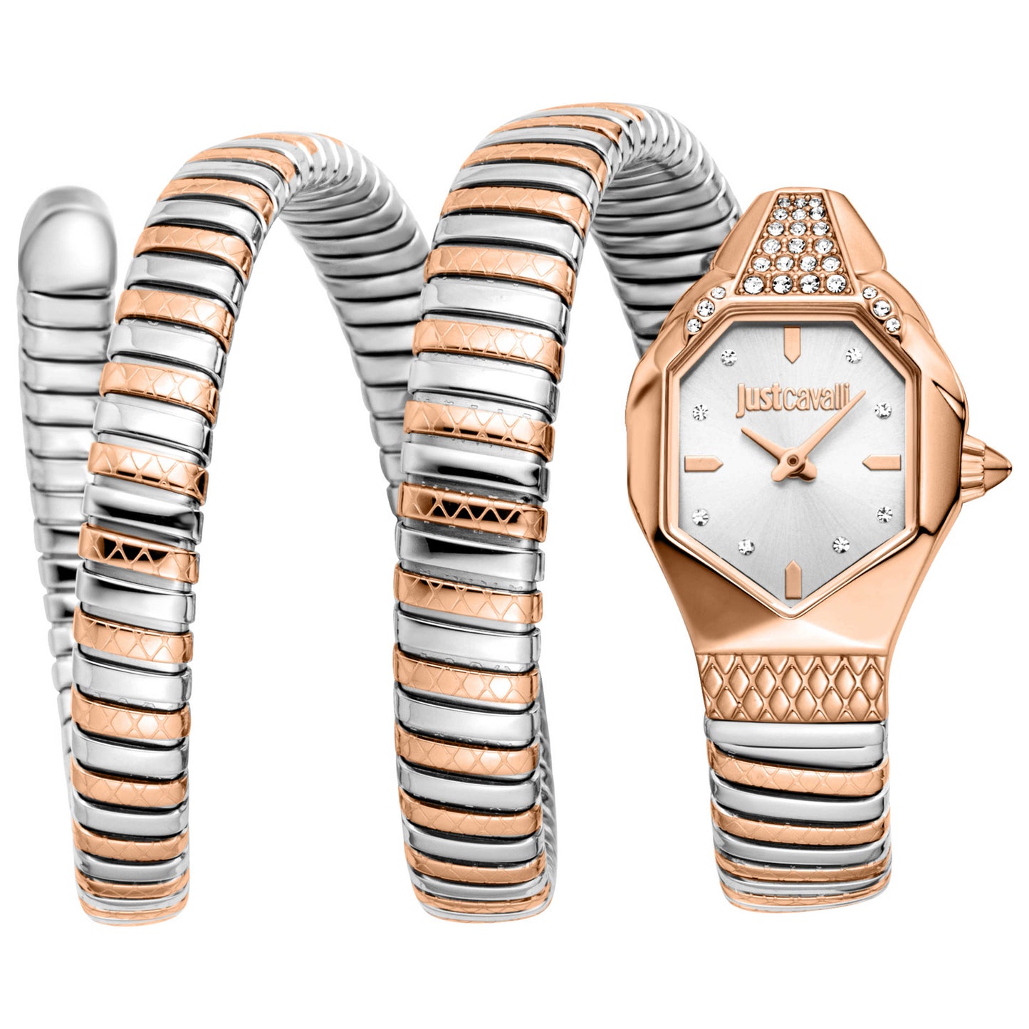 Front view of Just Cavalli Snake Women's Quartz Watch JC1L370M0065