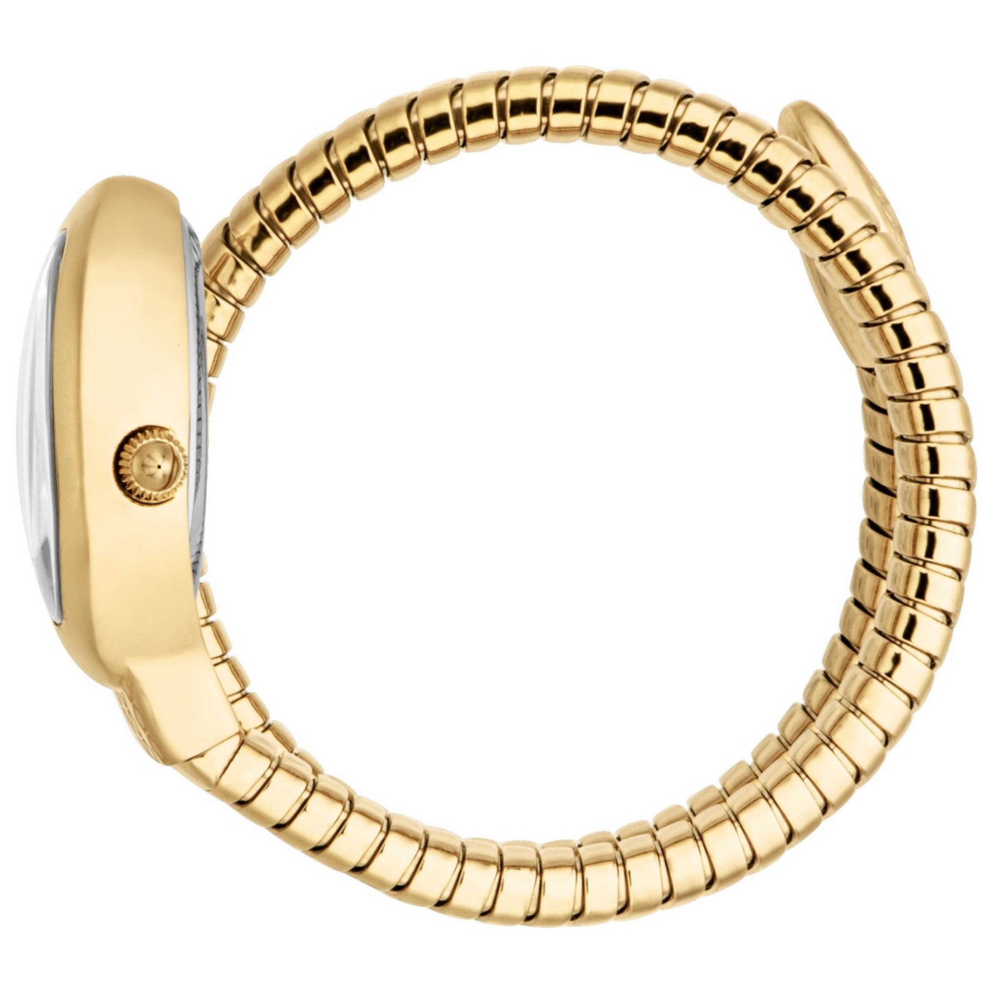 Just Cavalli Eclisse Women's Quartz Watch JC1L371M0025 - Image #4