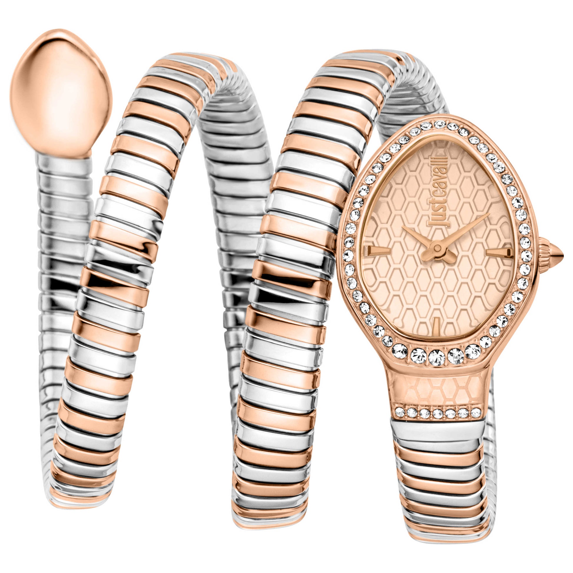 Front view of Just Cavalli Carezza Women's Quartz JC1L372M0065