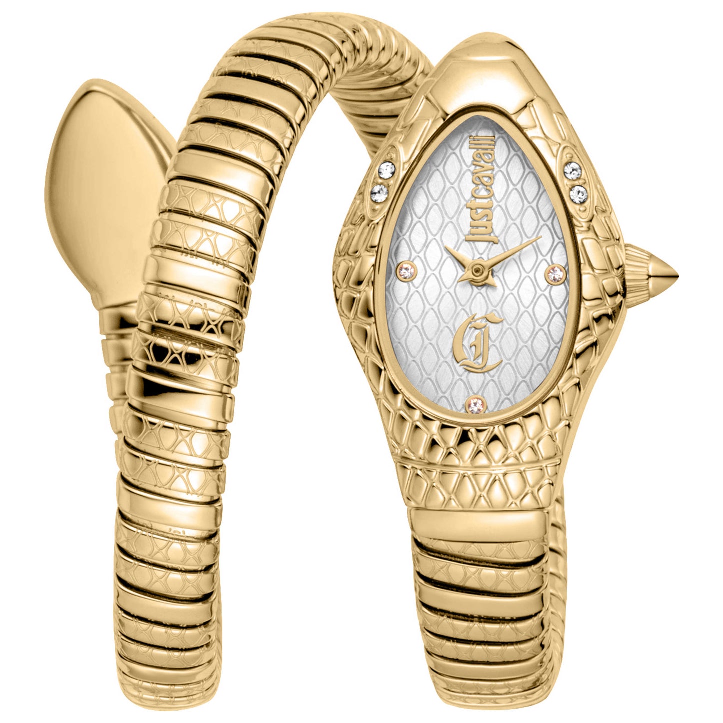 Front view of Just Cavalli Vetra Women's Quartz Watch JC1L373M0025