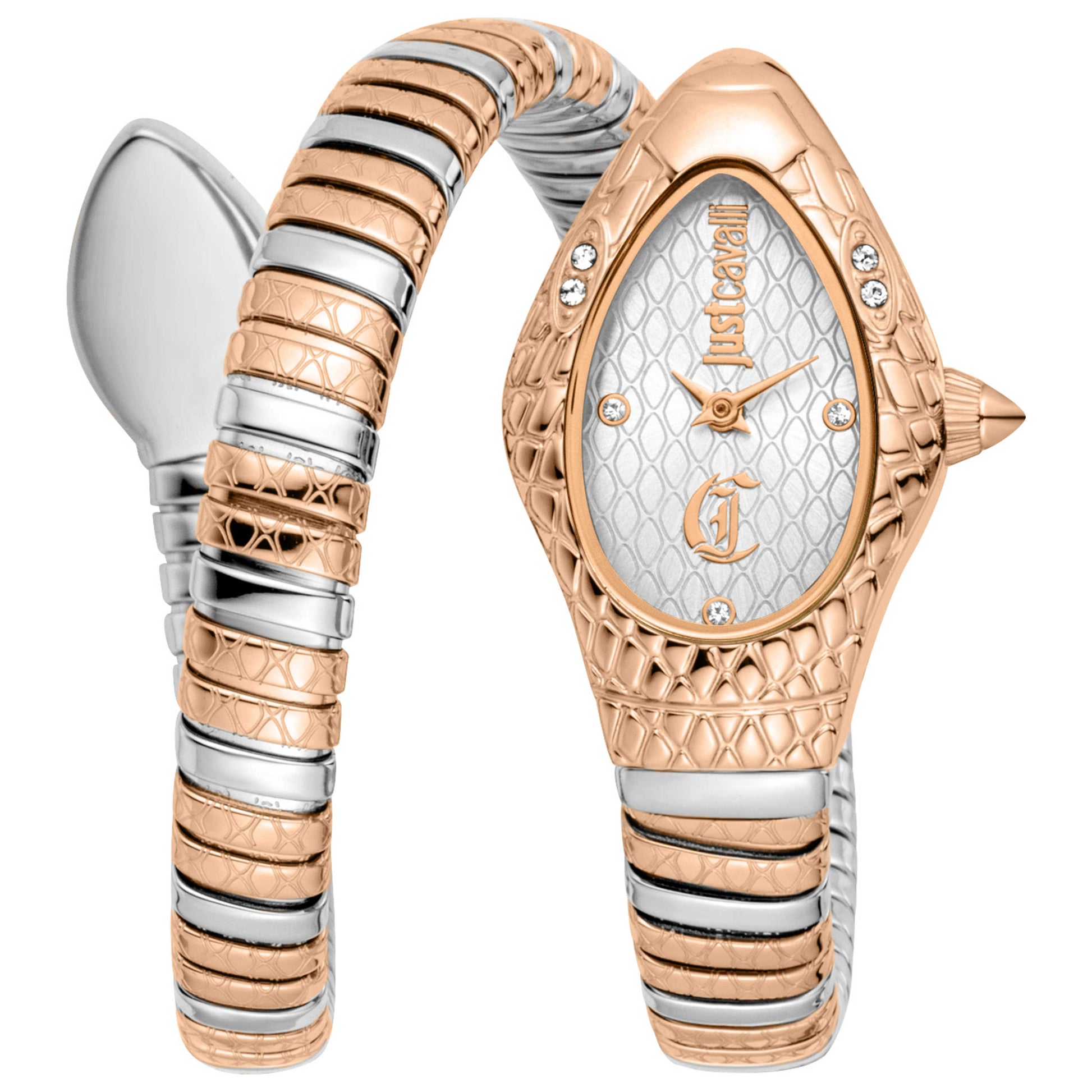 Front view of Just Cavalli Vetra Women's Quartz Watch JC1L373M0065