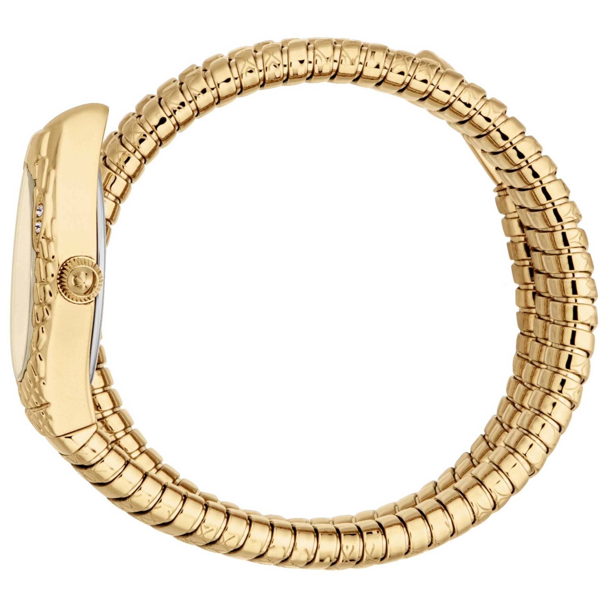 Just Cavalli Women's Watch JC1L374M0025