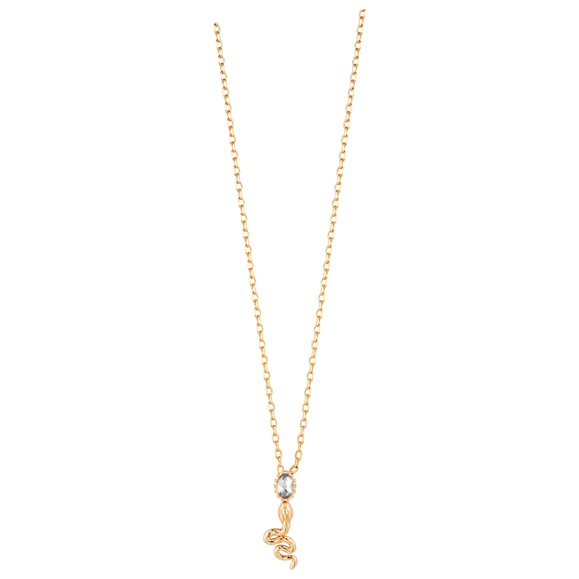 Front view of Just Cavalli Fashion Women's Necklace JCNL01733200