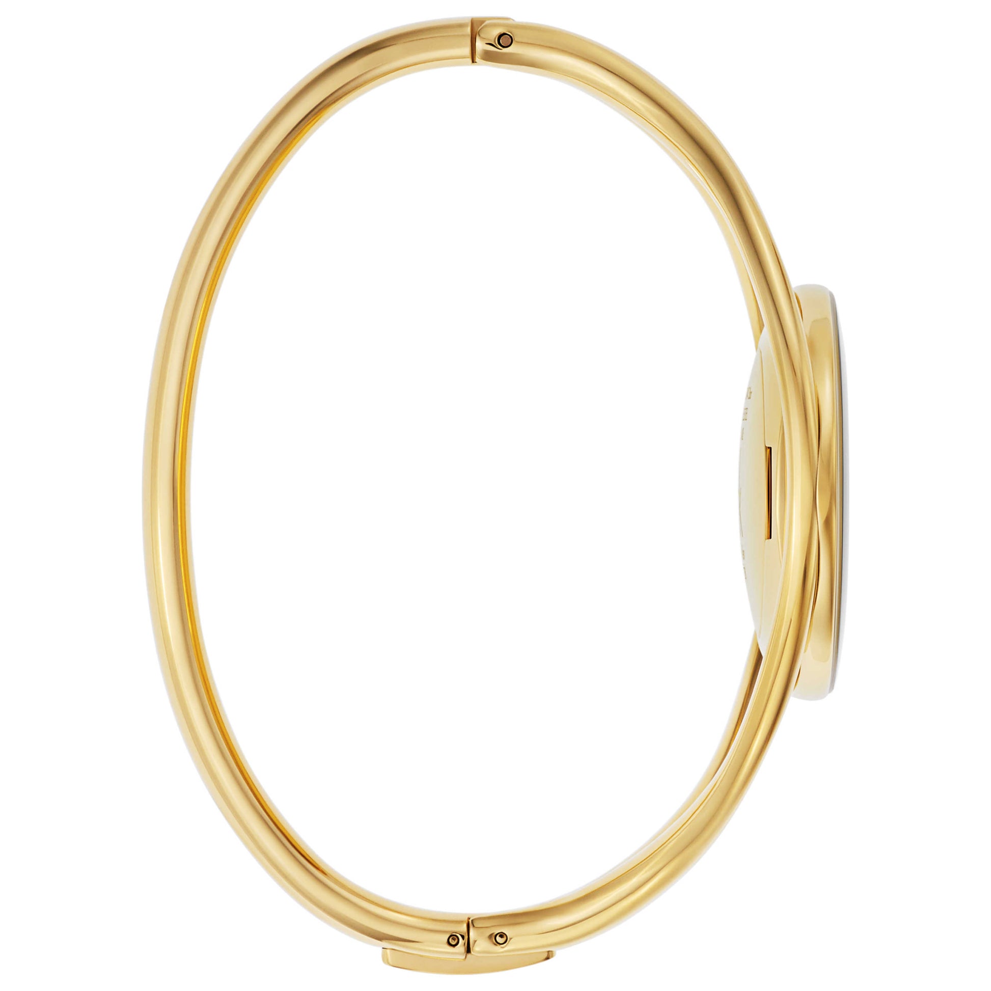 Calvin Klein Delight Women's Swiss Quartz (Battery-Powered) Watch K1A2381G - Image #3