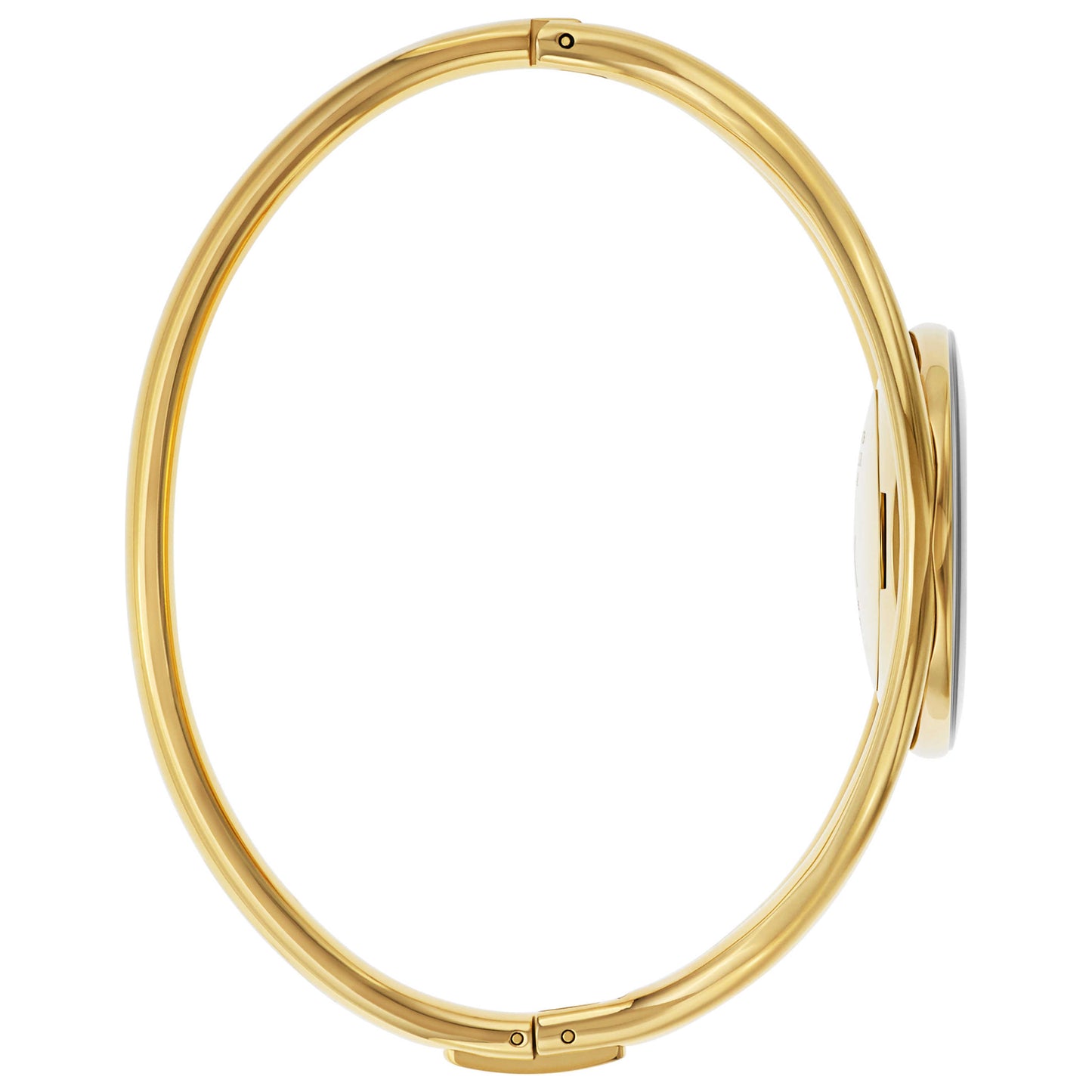 Left view of Calvin Klein Delight Women's Quartz Watch K1A2391G