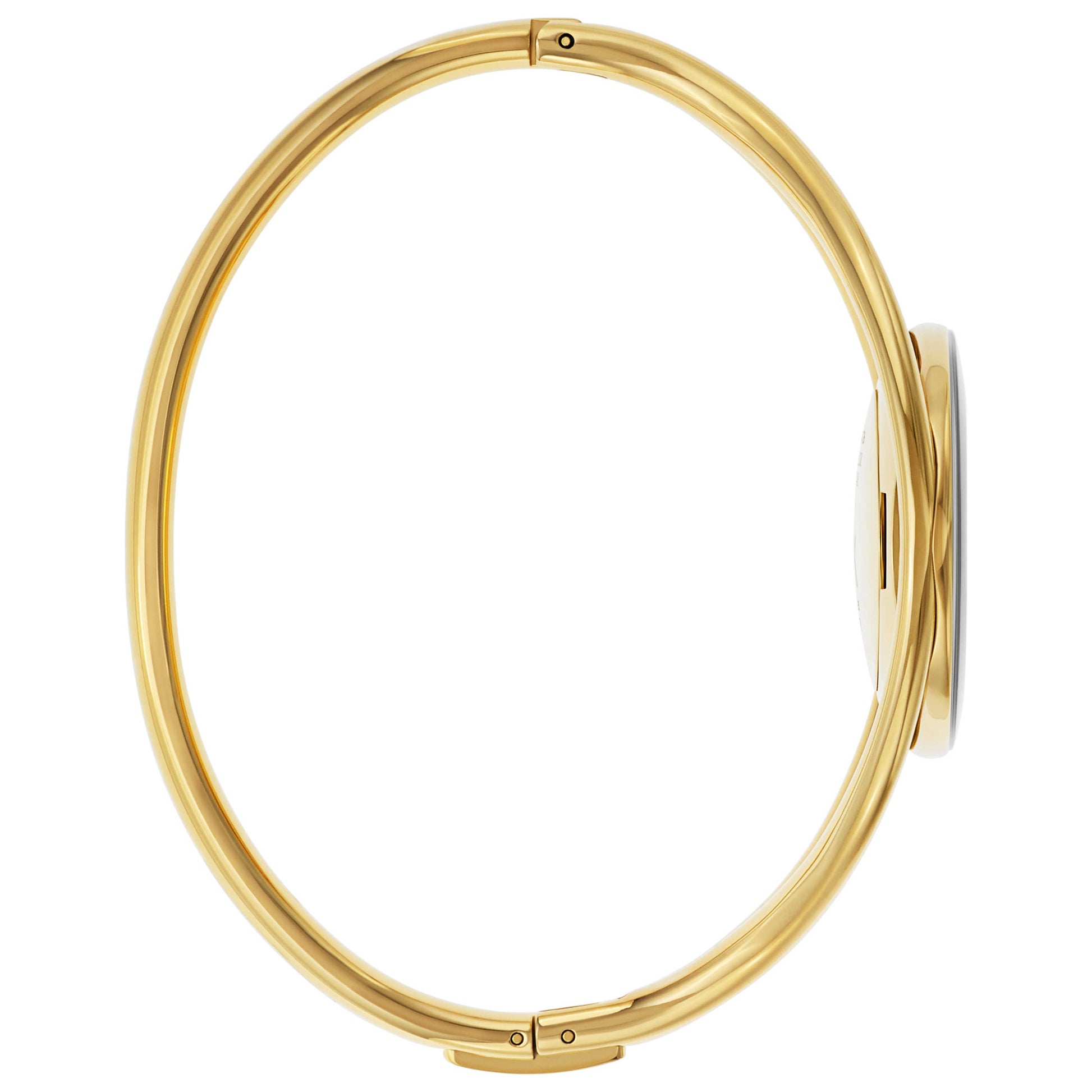 Left view of Calvin Klein Delight Women's Quartz Watch K1A2391G