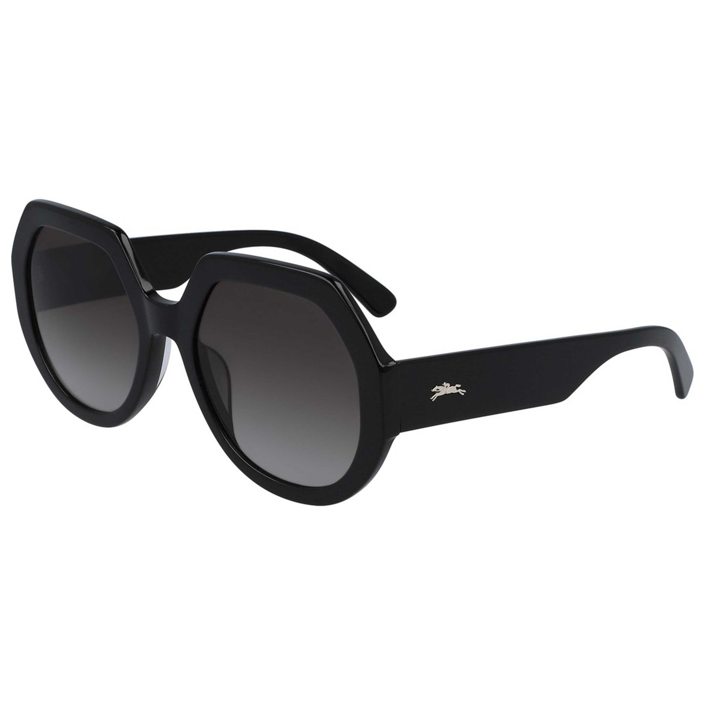 Front view of Longchamp Fashion Women's Sunglasses LO655S-005