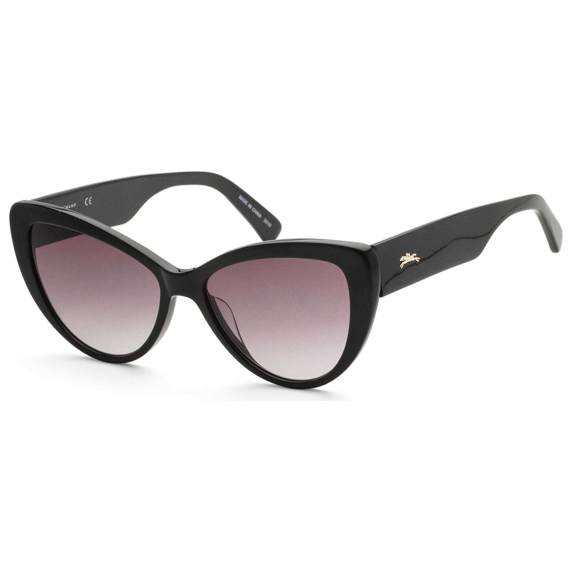 Front view of Longchamp Fashion Women's Sunglasses LO663S-005