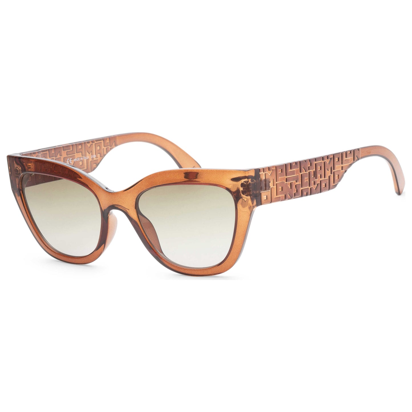 Front view of Longchamp Fashion Women's Sunglasses LO691S-200
