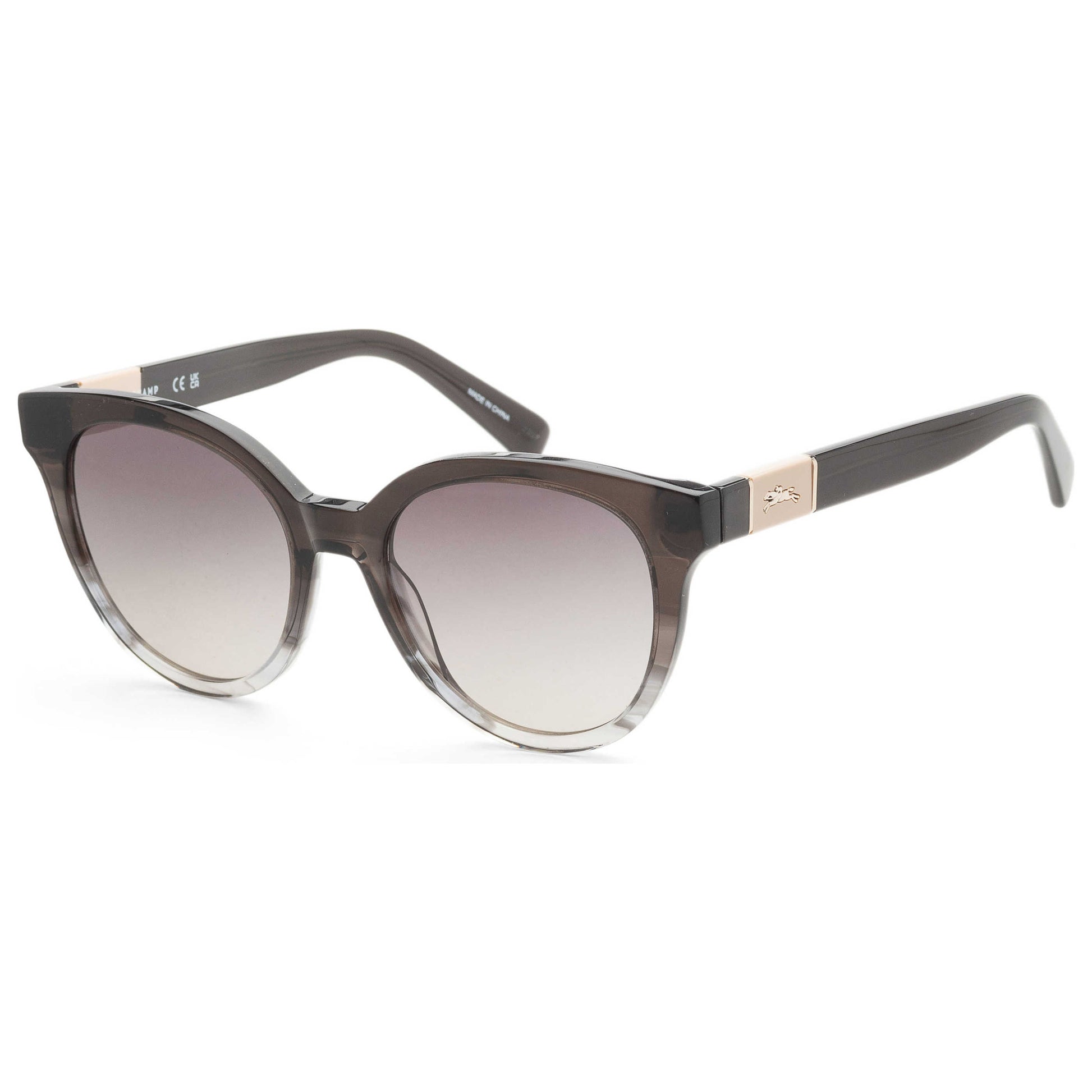 Front view of Longchamp Fashion Unisex Sunglasses LO697S-012