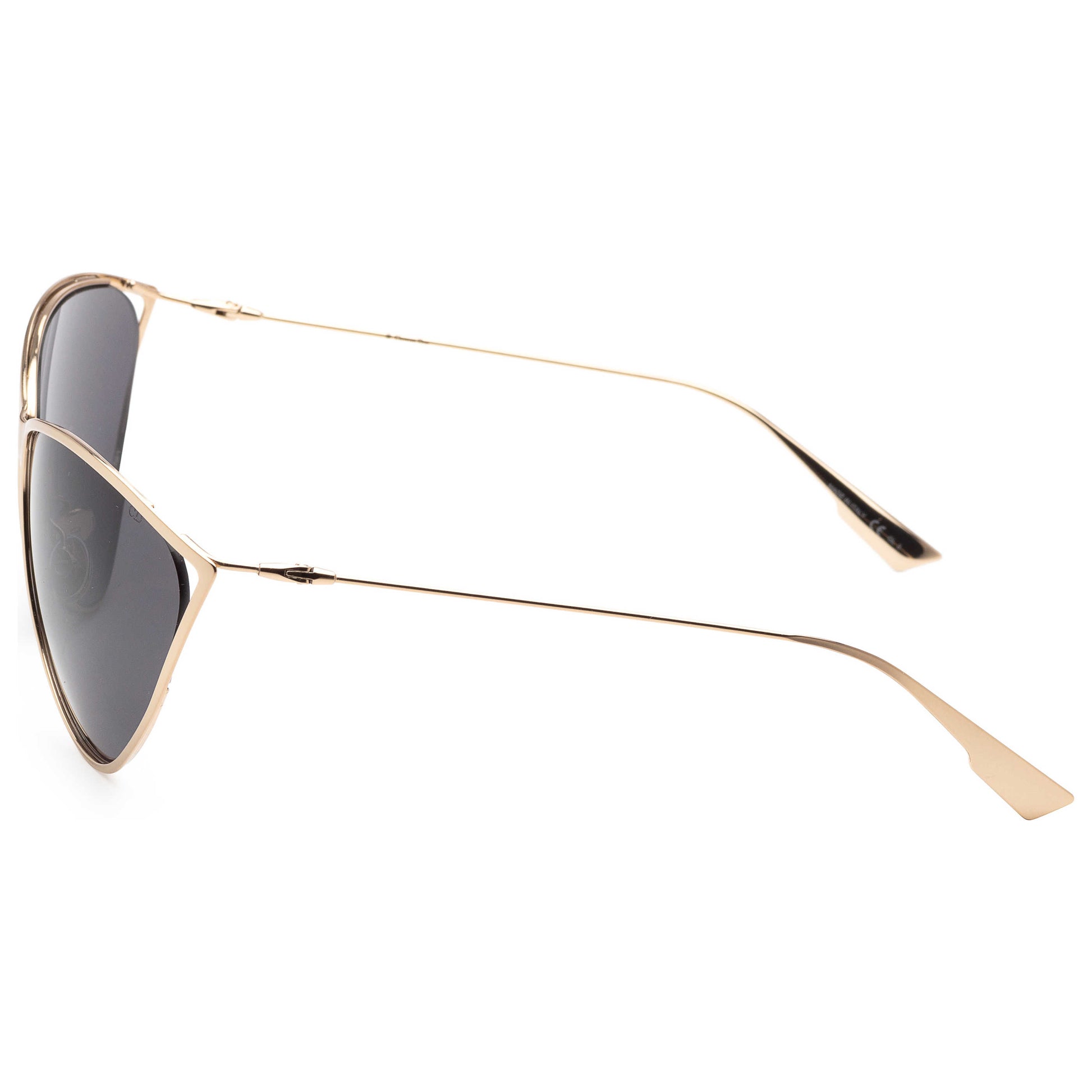 Left view of Christian Dior Fashion Women's Sunglasses NEWMOTARDS-0J5G-IR