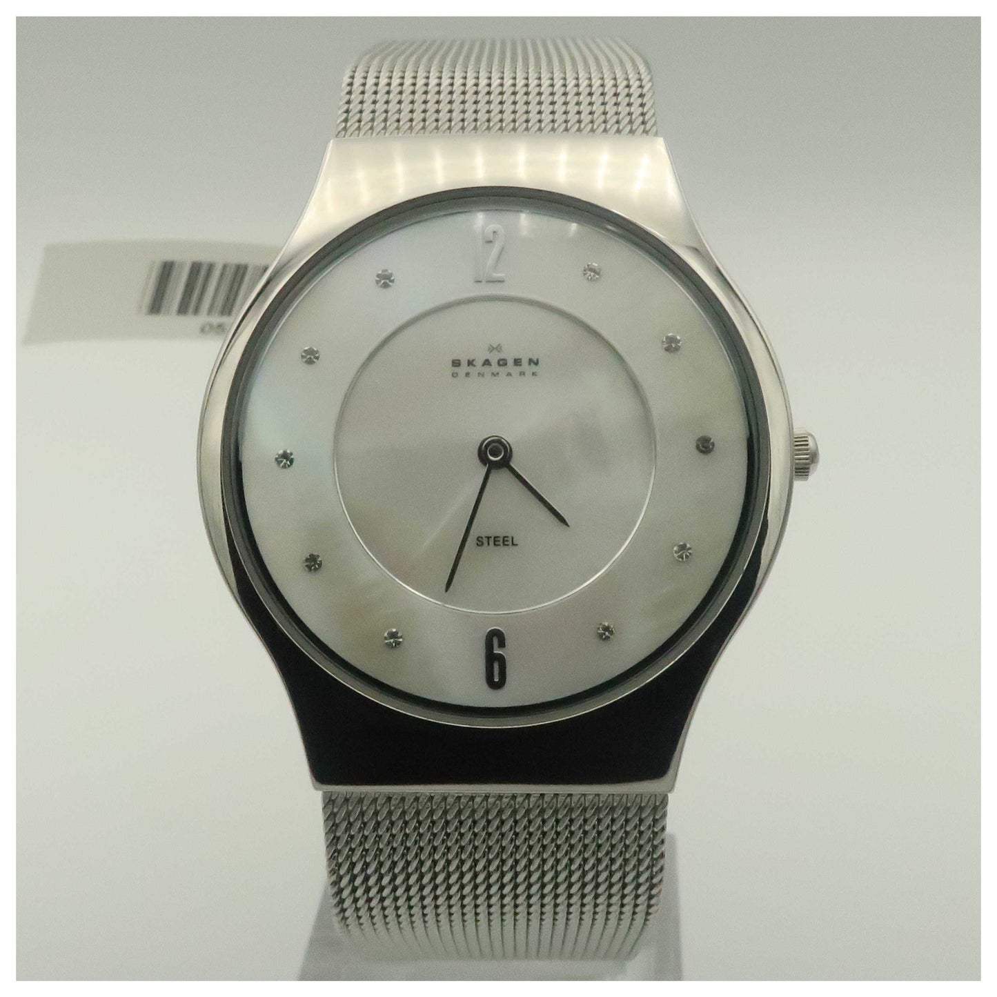 Front view of Skagen Mesh Women's Japanese Quartz (Battery-Powered) Watch O233LSSW-SD