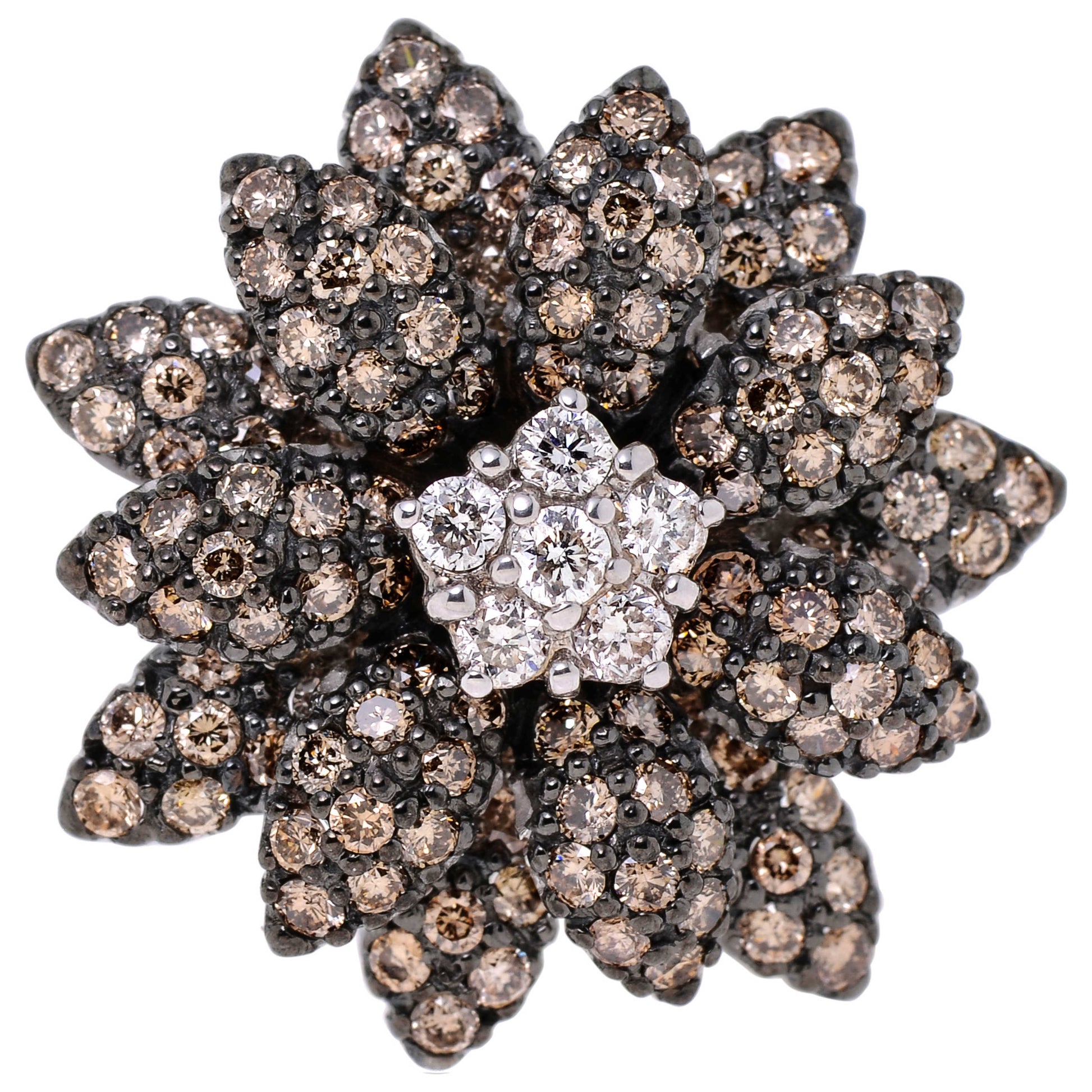 Front view of Le Vian Elegant Women's Ring PZJN4