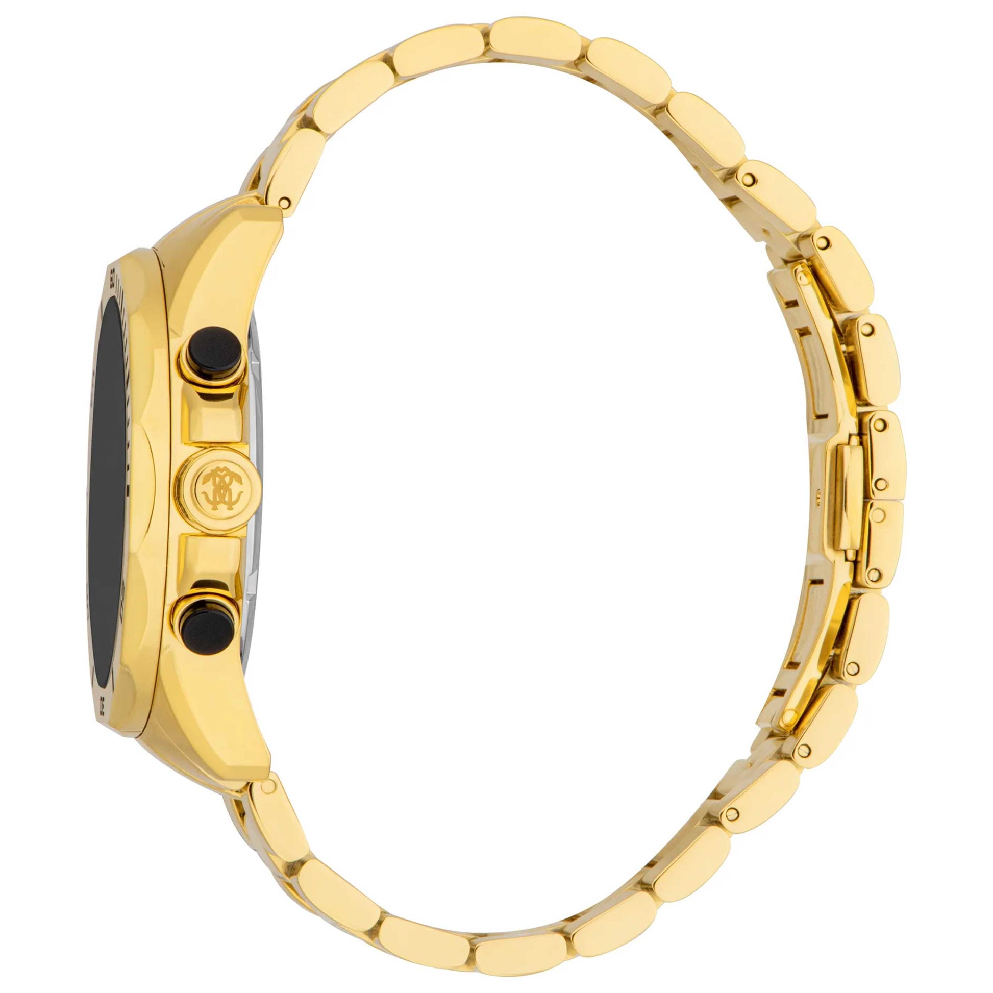 Roberto Cavalli Classic Men's Quartz Watch RC5G109M0075 - Image #4