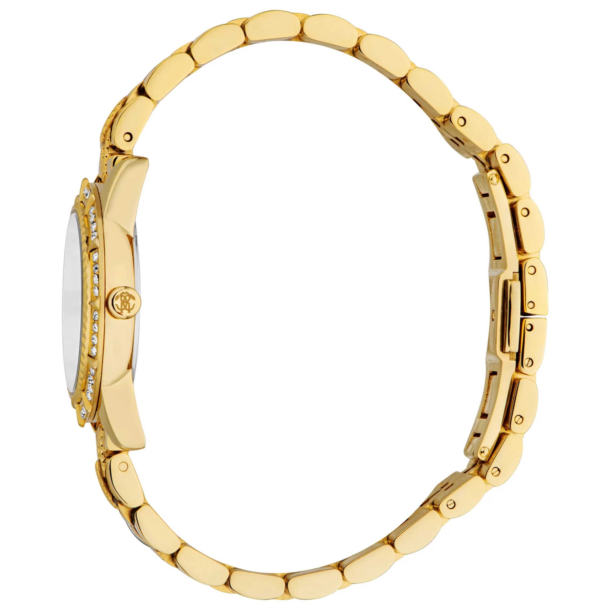 Roberto Cavalli Classic Women's Quartz Watch RC5L079M0055 - Image #4