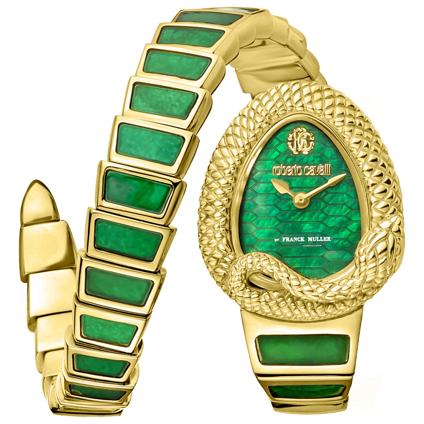 Front view of Roberto Cavalli by Franck Muller Women's Quartz Watch RV1L141M0031