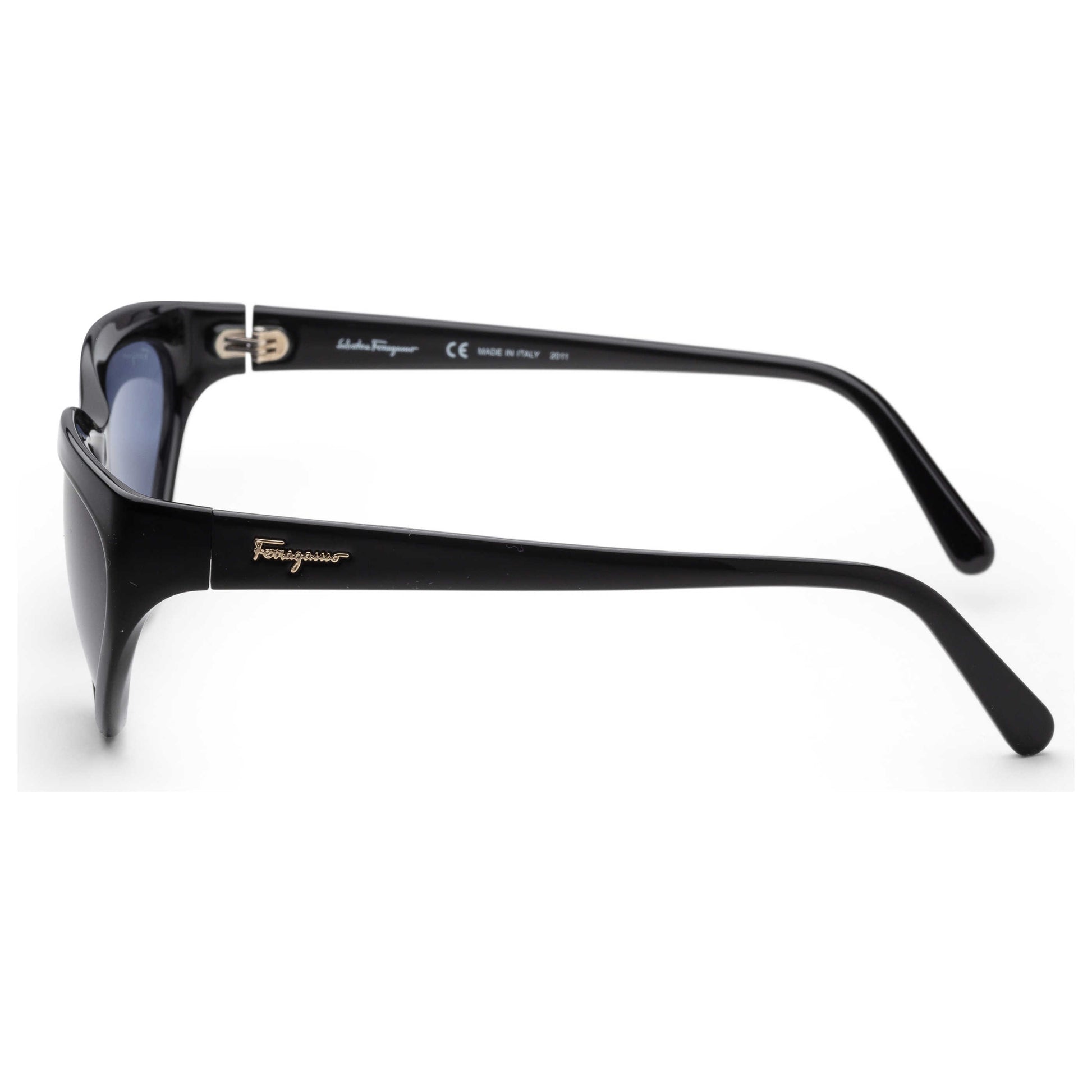 Left view of Ferragamo Fashion Women's Sunglasses SF1017S-001