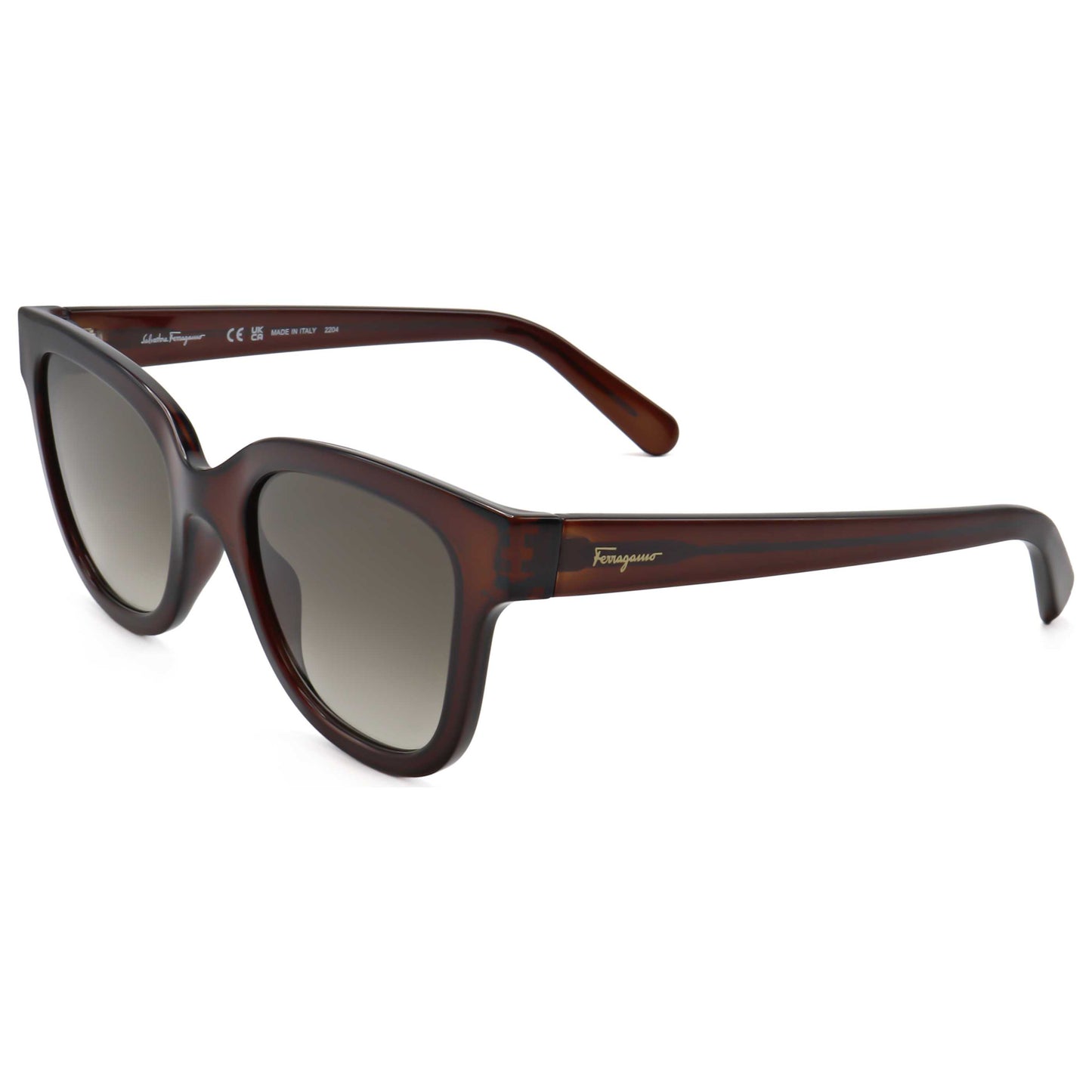 Front view of Ferragamo Fashion Women's Sunglasses SF1066S-210