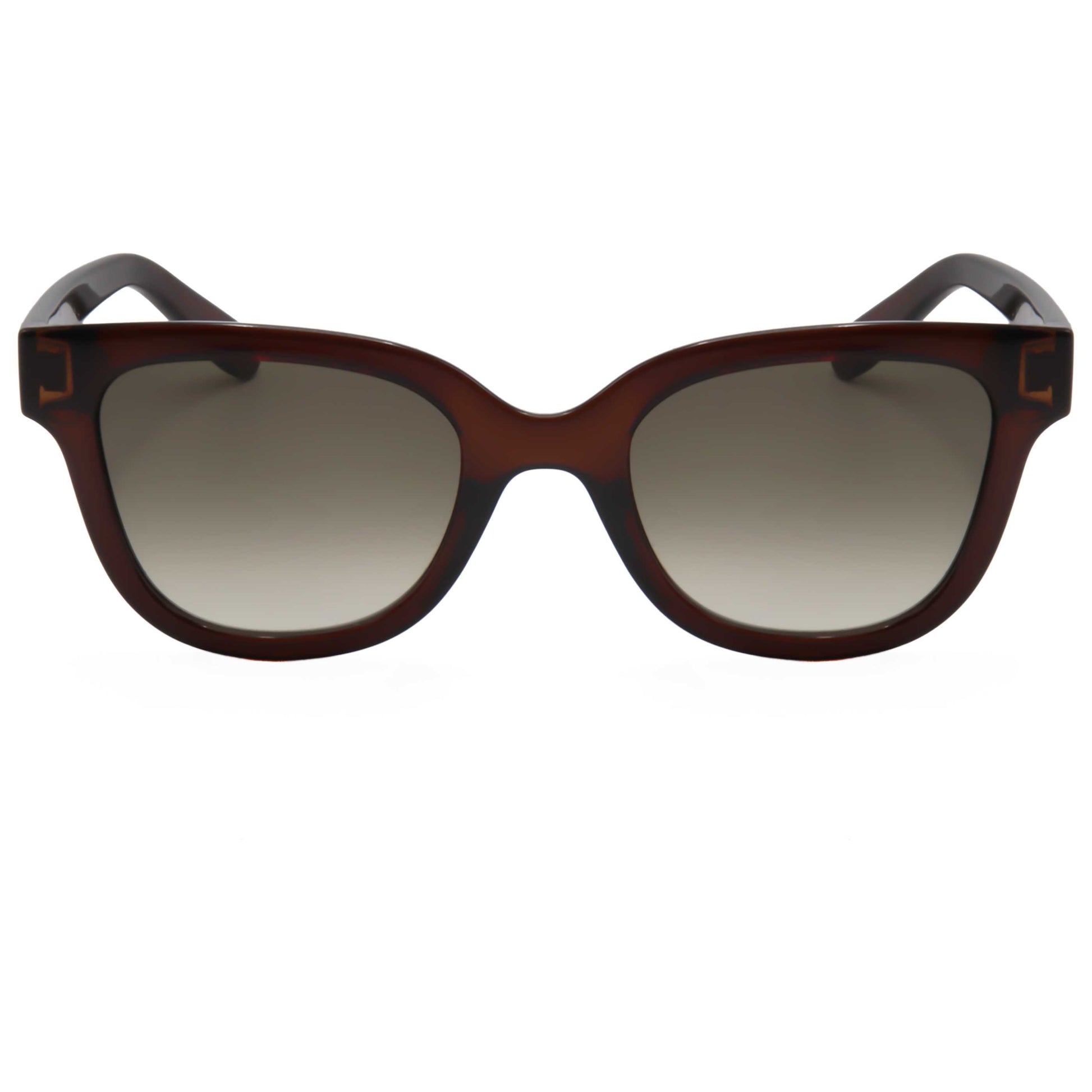 Ferragamo Fashion Women's Sunglasses SF1066S-210 - Image #6