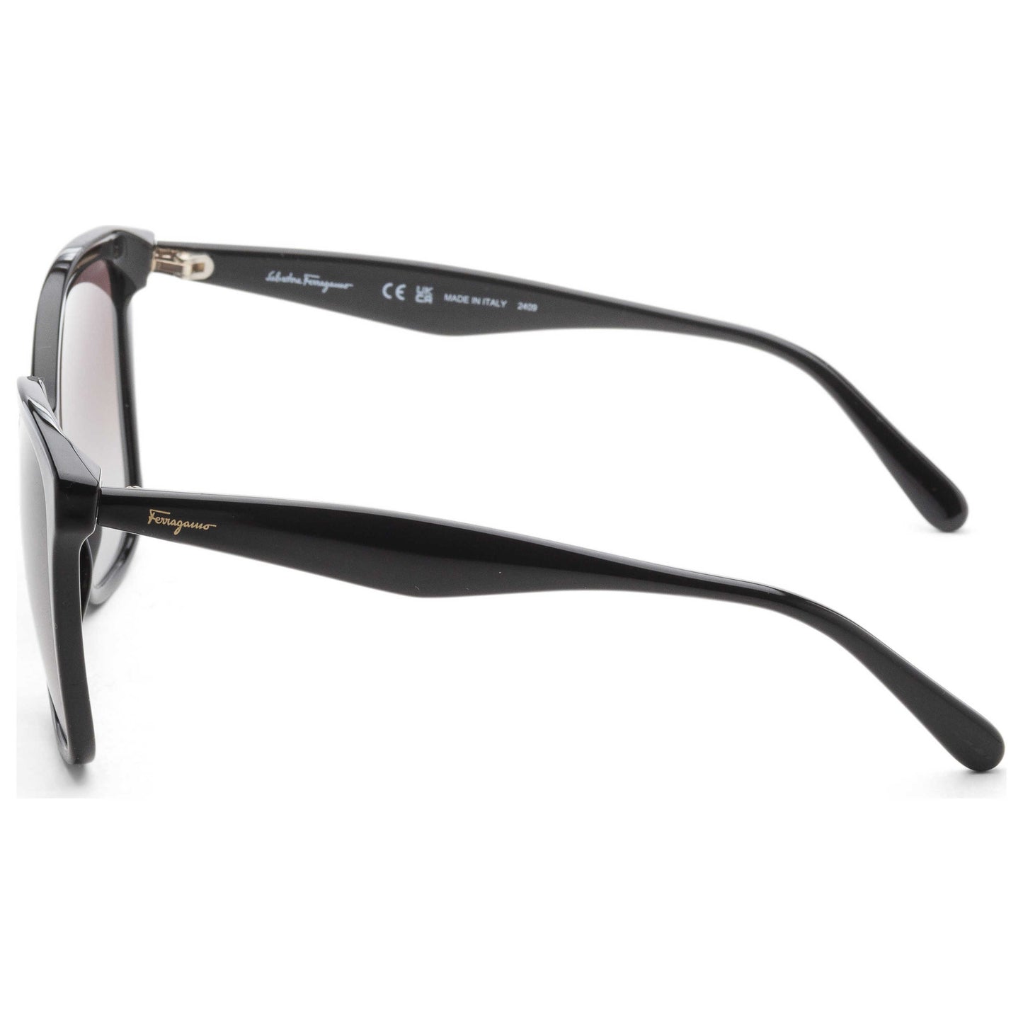 Left view of Ferragamo Fashion Women's Sunglasses SF1072S-001-56