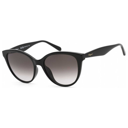 Front view of Ferragamo Fashion Women's Sunglasses SF1073S-001