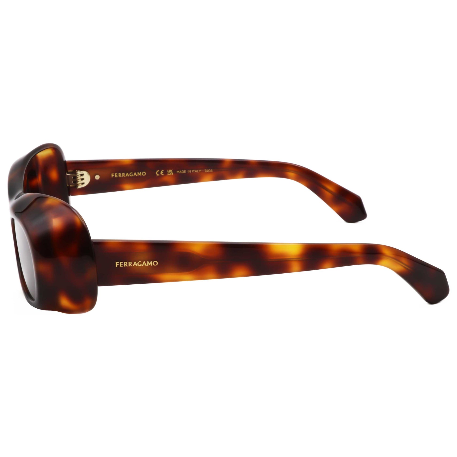 Ferragamo Women's Sunglasses SF2030S-240-51 - Image #3