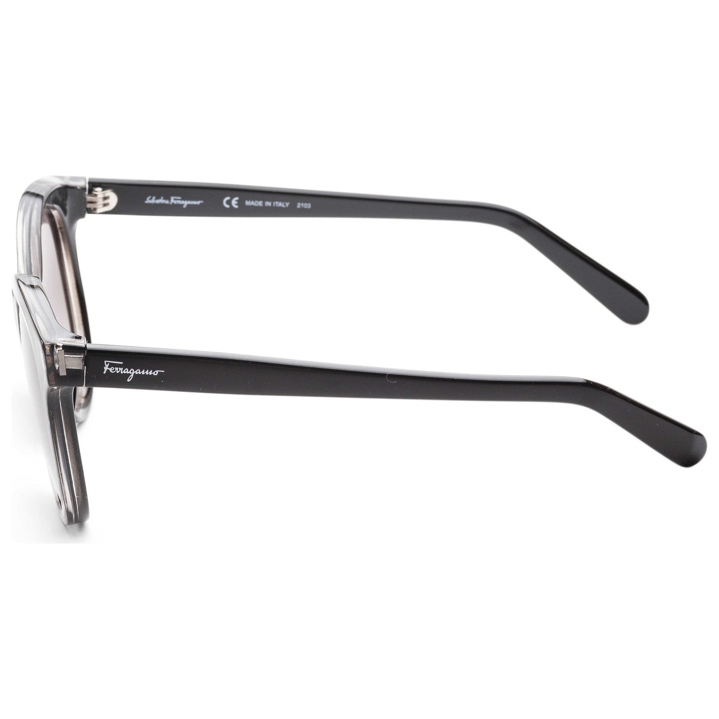 Left view of Ferragamo Fashion Women's Sunglasses SF833S-5319001