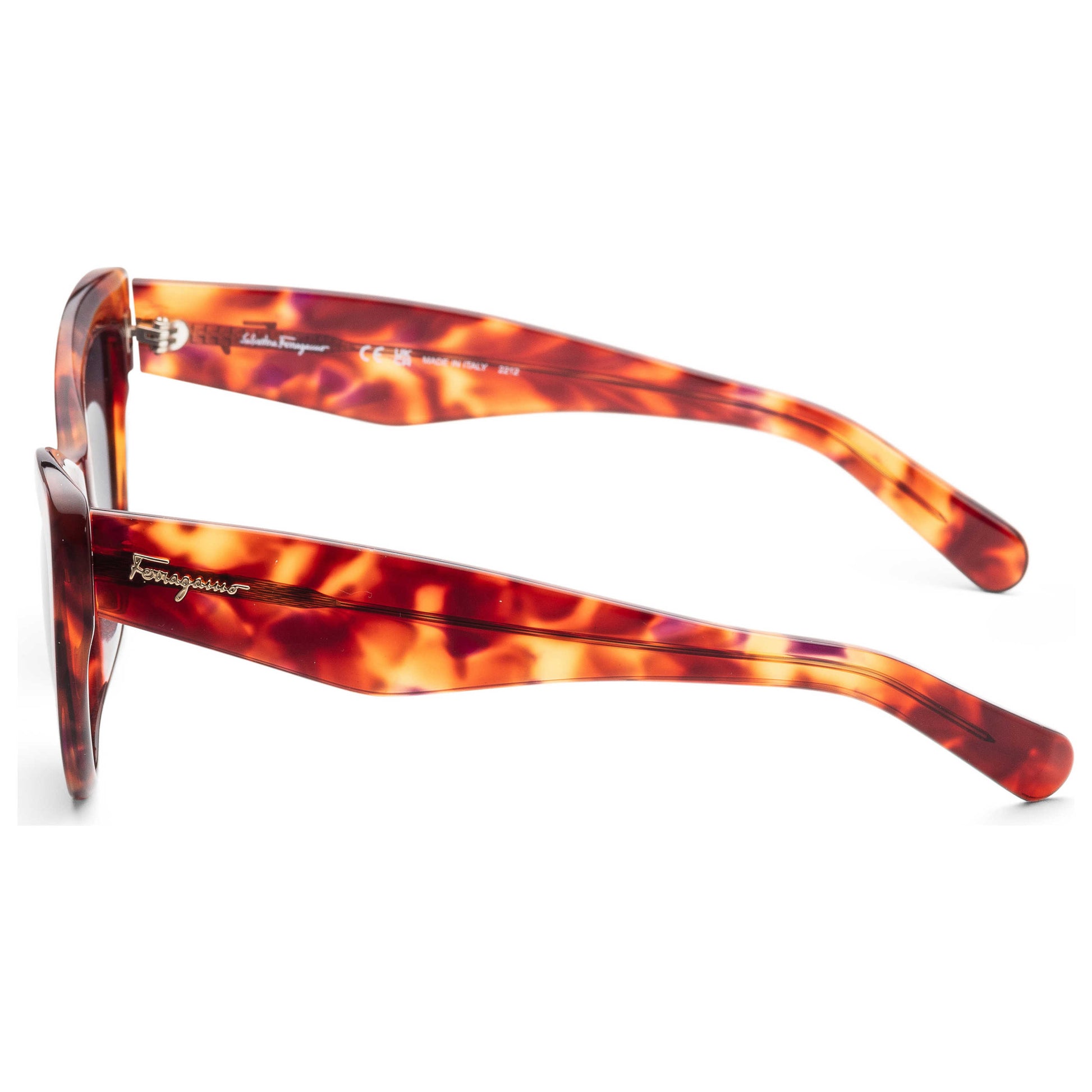 Left view of Ferragamo Fashion Women's Sunglasses SF930S-5617214