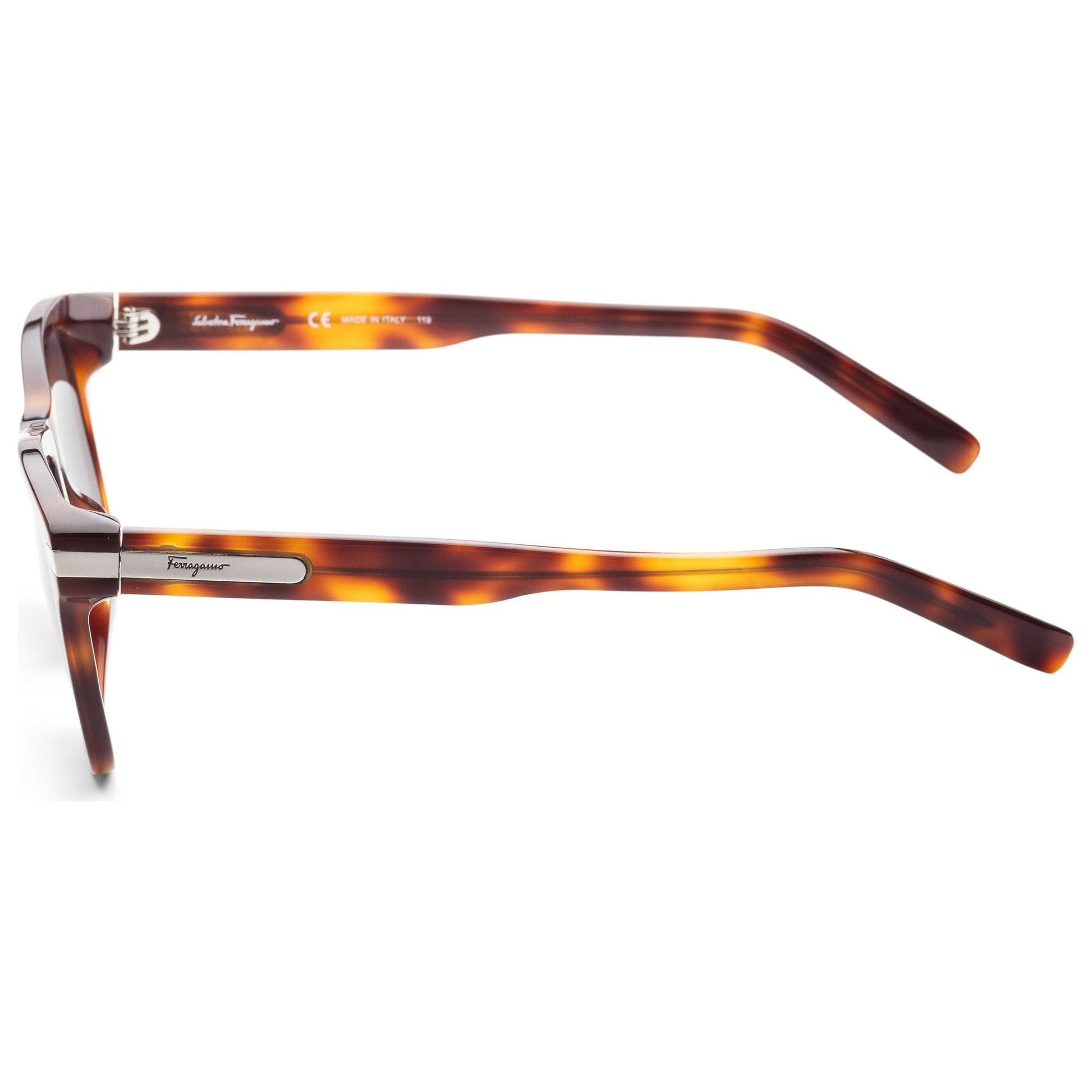 Left view of Ferragamo Fashion Men's Sunglasses SF936S-5419214