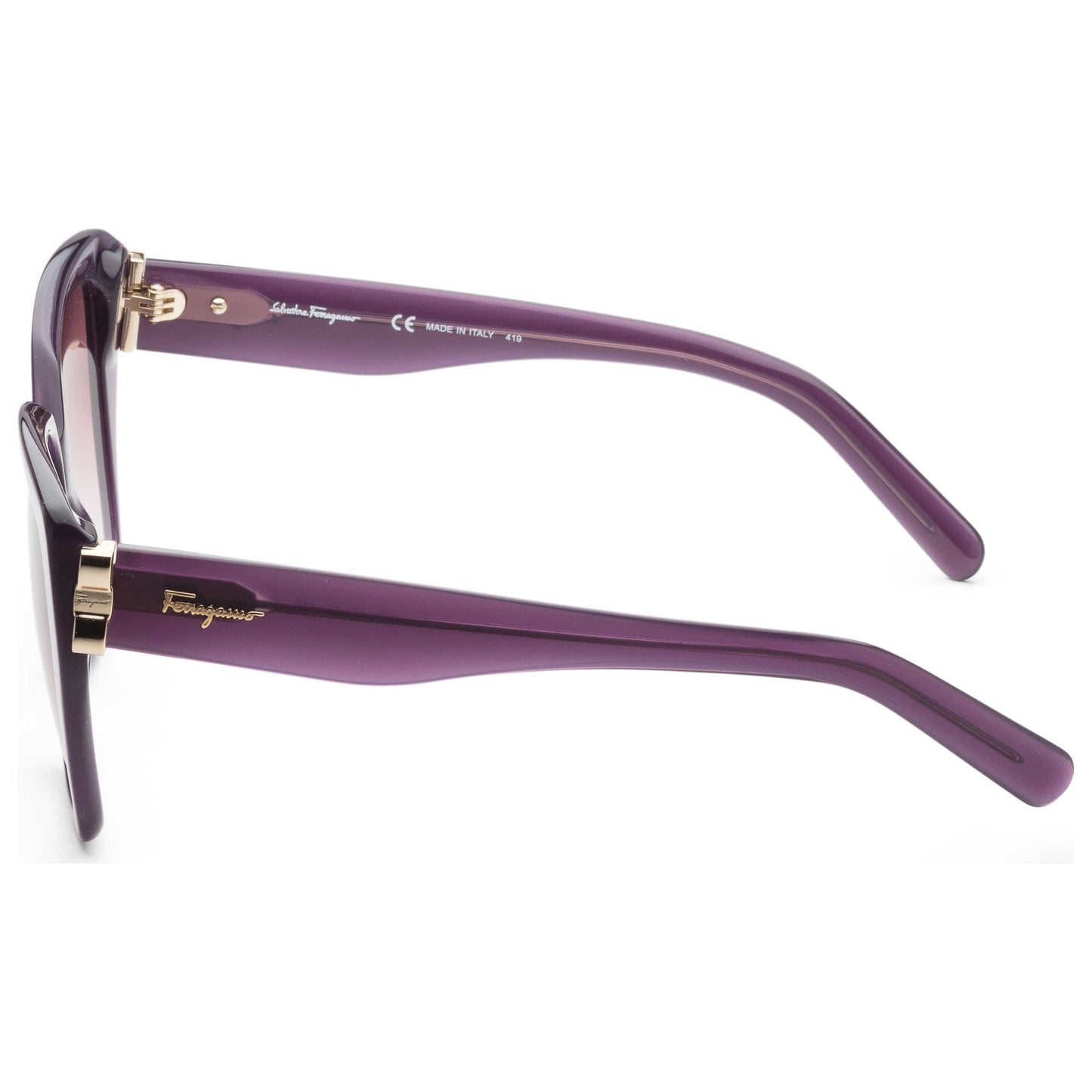 Left view of Ferragamo Fashion Women's Sunglasses SF968S-547