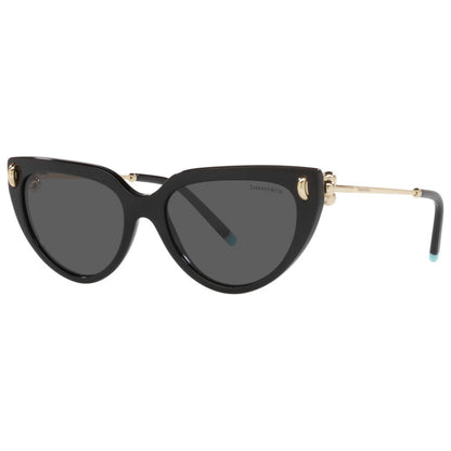 Front view of Tiffany & Co. Fashion Women's Sunglasses TF4195F-8001S4