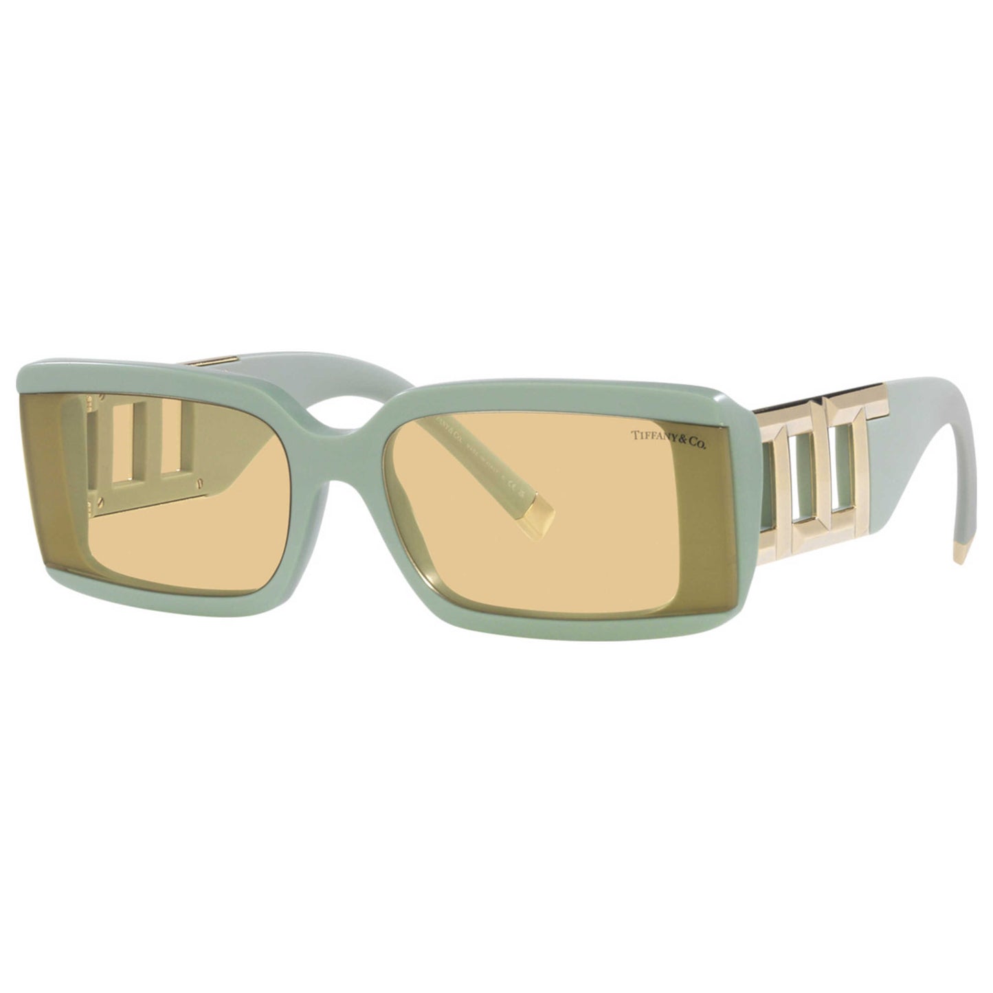 Front view of Tiffany & Co. Fashion Women's Sunglasses TF4197-8365-8