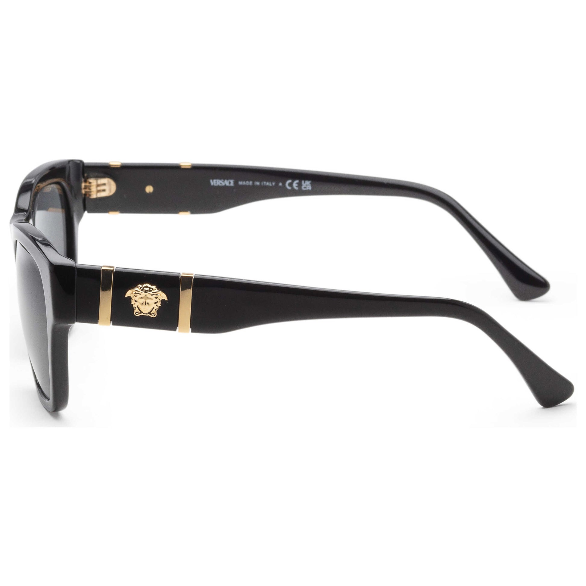 Left view of Versace Fashion Men's Sunglasses VE4457-GB1-87-55