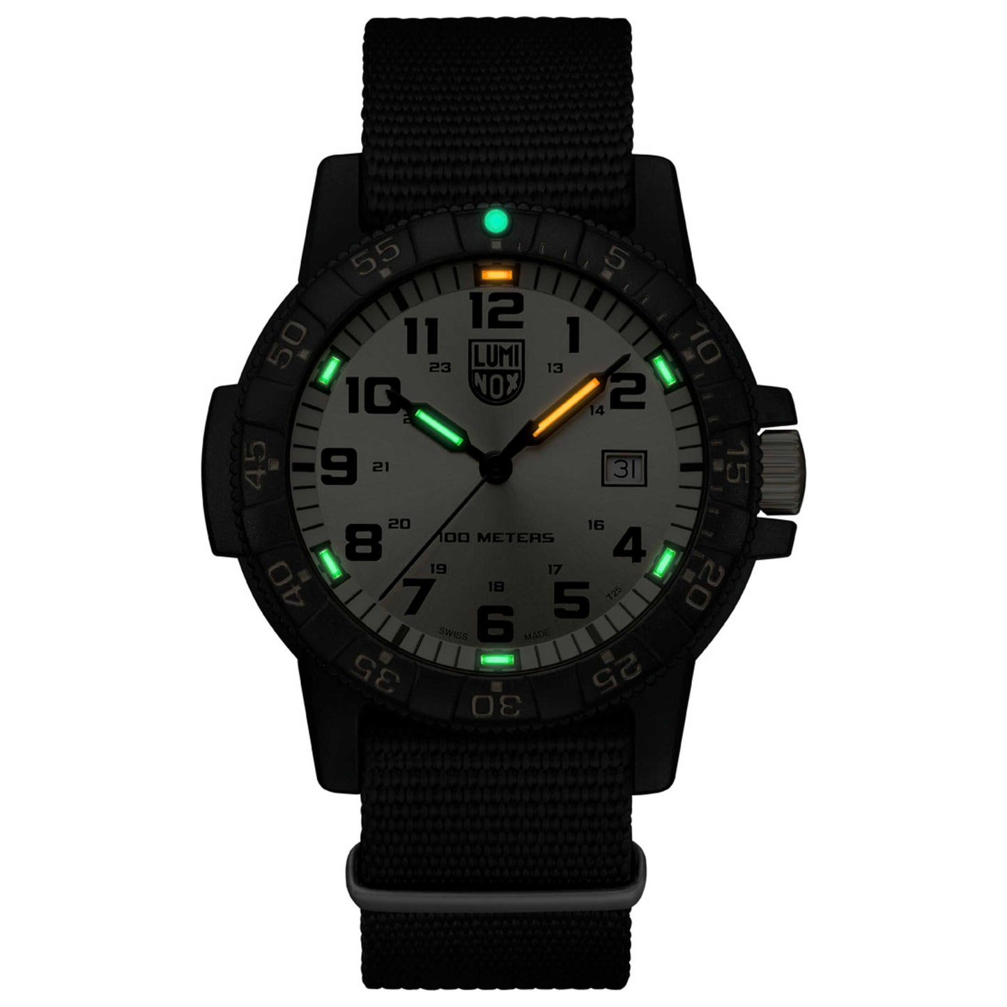Luminox Sea Turtle Men's Quartz Watch XS.ZC25.GP - Image #5