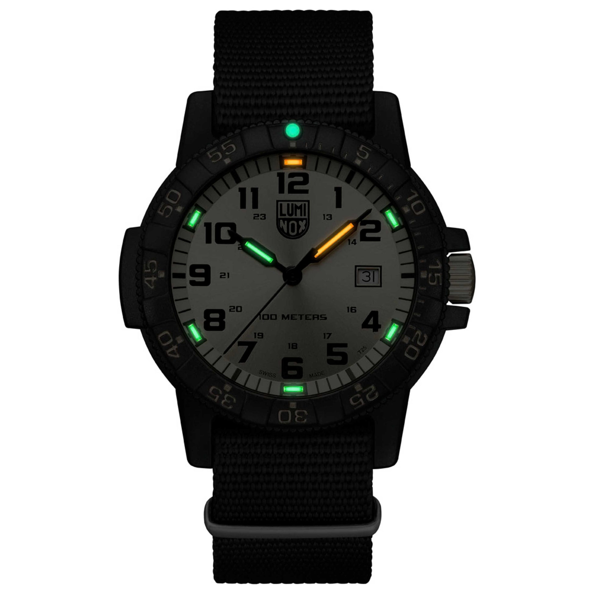 Luminox Sea Turtle Men's Quartz Watch XS.ZC25.GP - Image #5