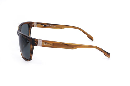 BROWN variant third image