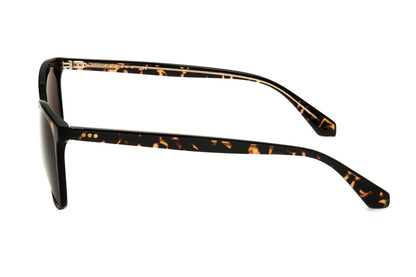 BROWN variant third image