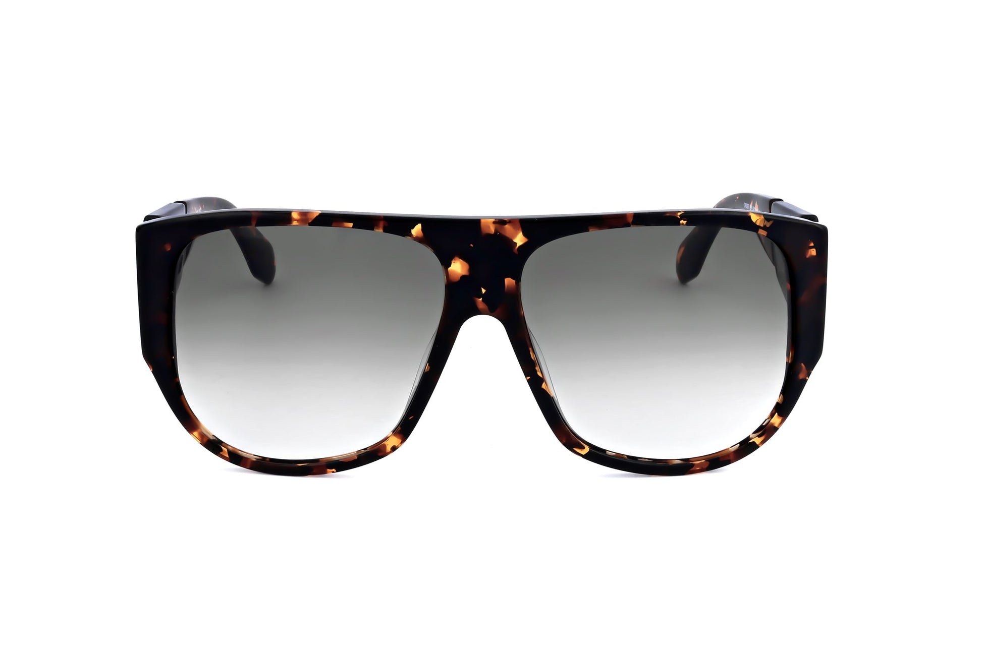 TORTOISE variant main image