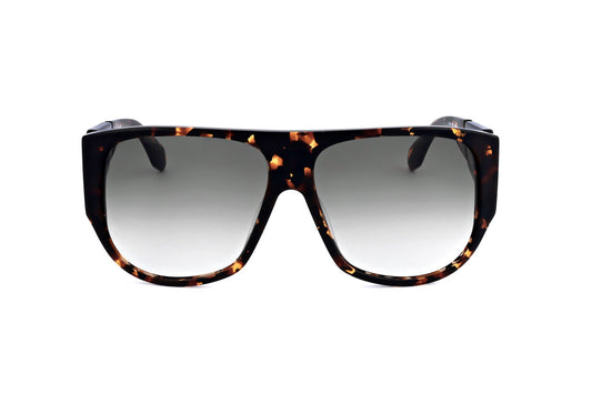 TORTOISE variant main image