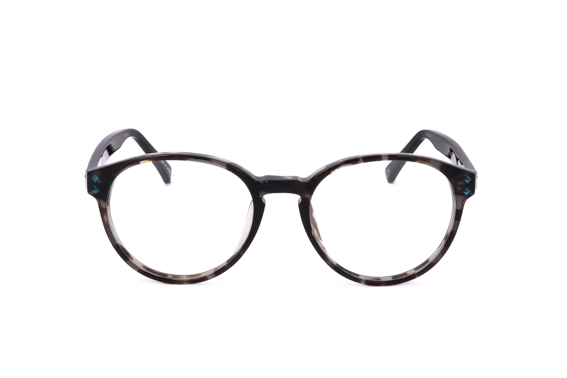 TORTOISE variant main image